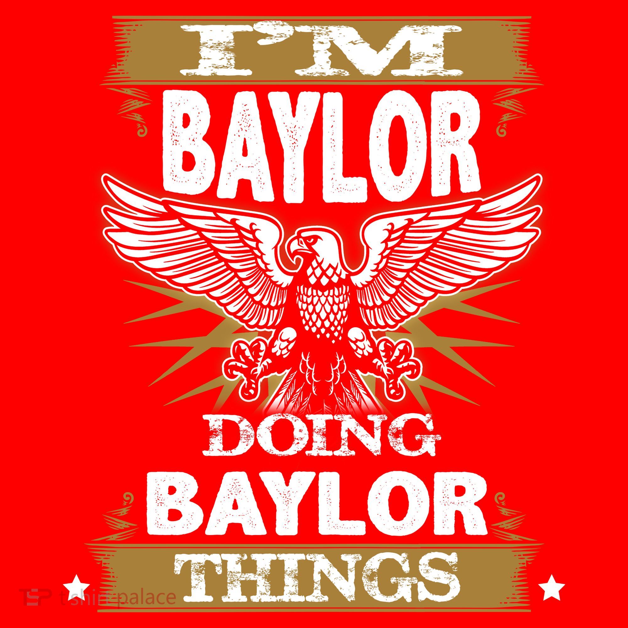I'm Baylor Doing Baylor Things Santa Hat