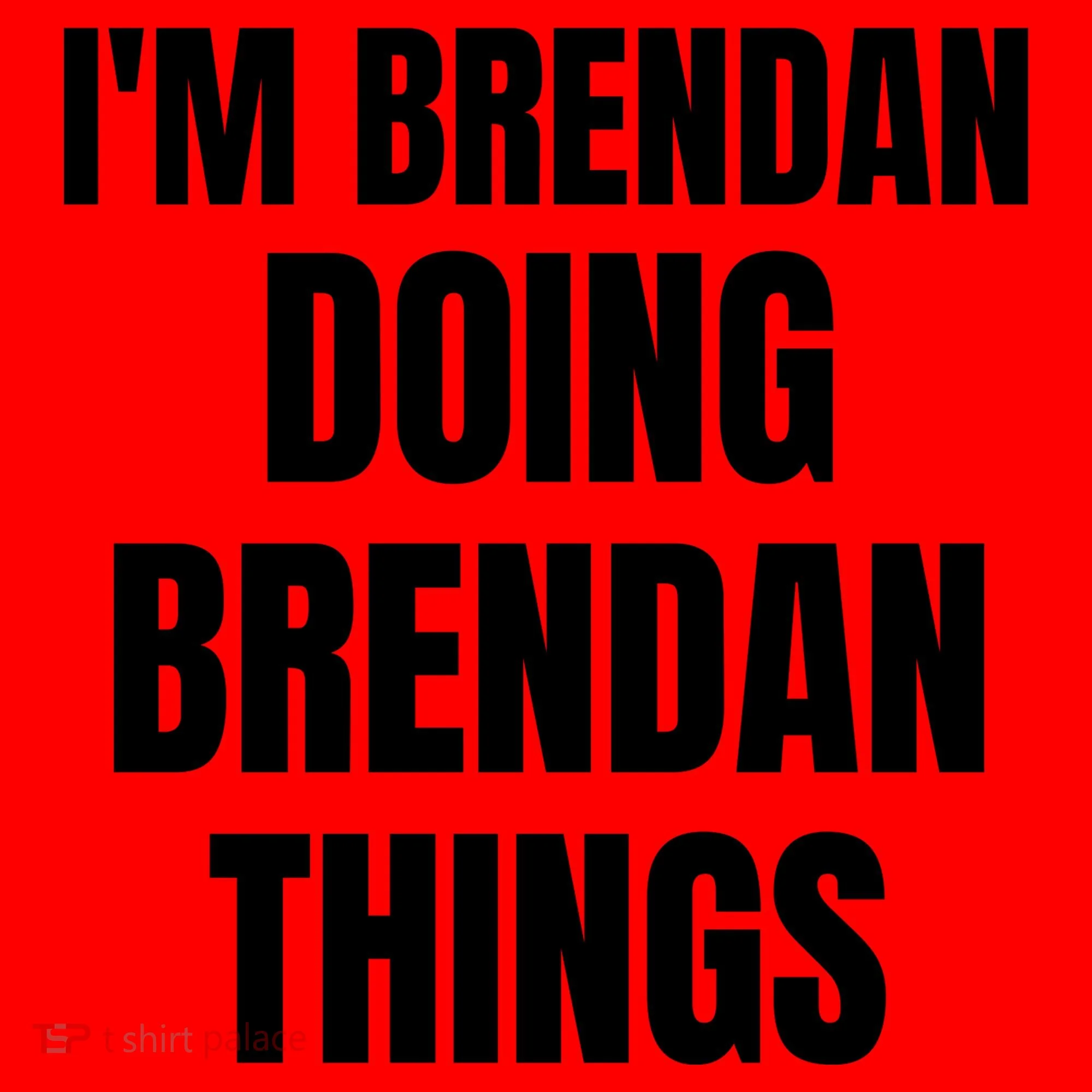 IM Brendan Doing Brendan Things Santa Hat