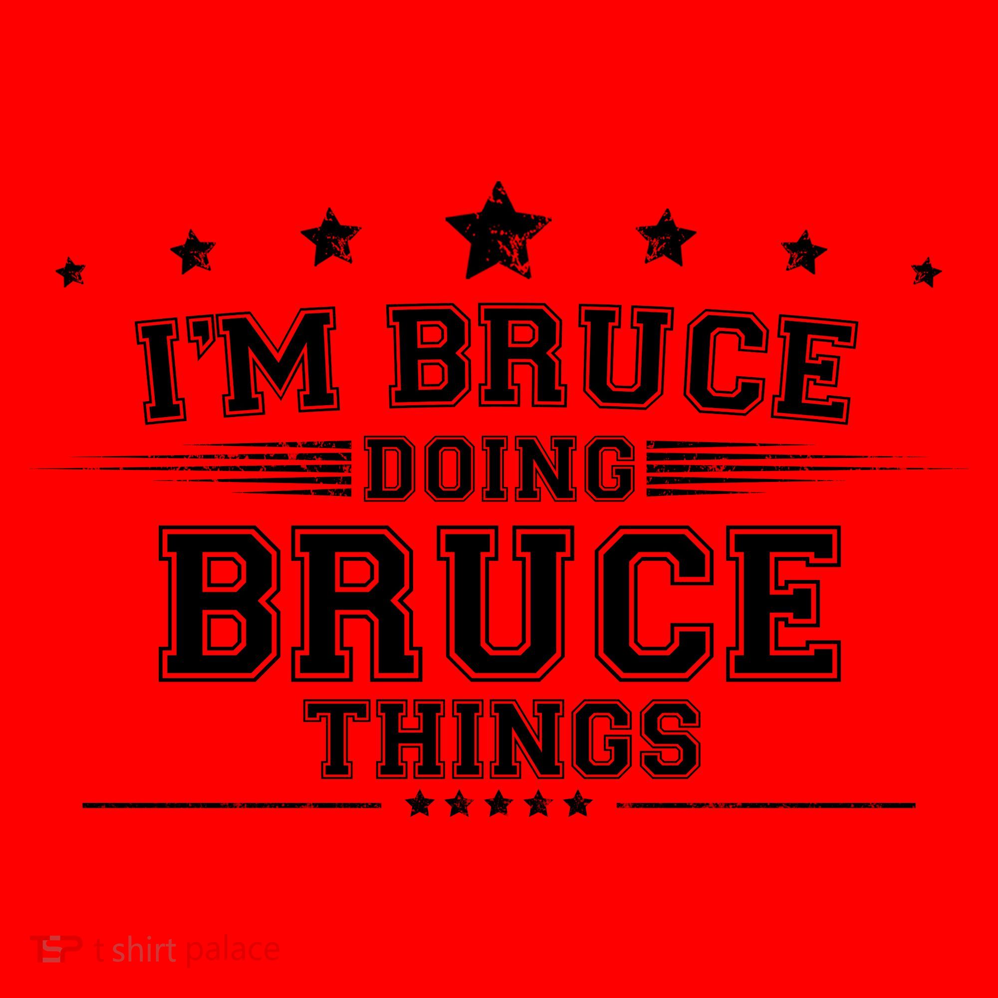 Im Bruce Doing Bruce Things Santa Hat