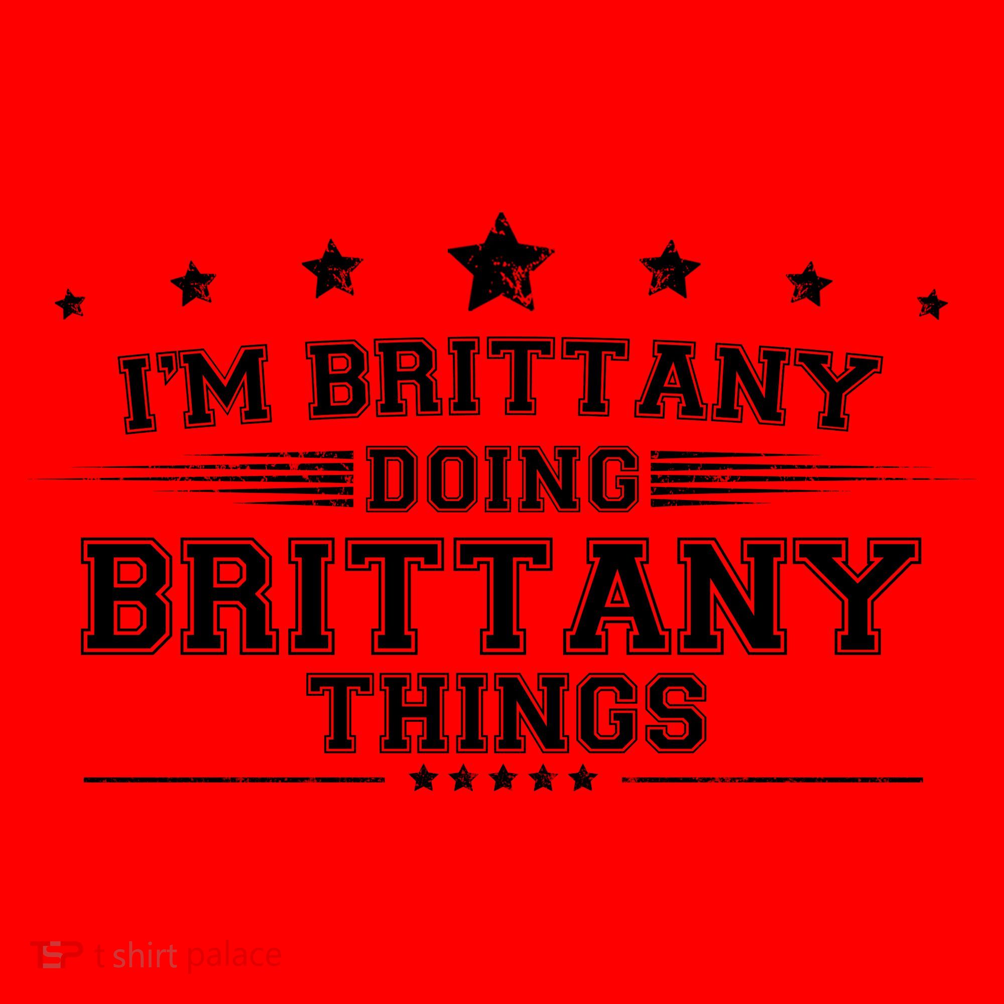 Im Brittany Doing Brittany Things Santa Hat