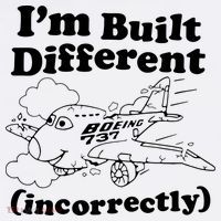I’M Built Different Incorrectly Boeing 737 Visor thumb 3