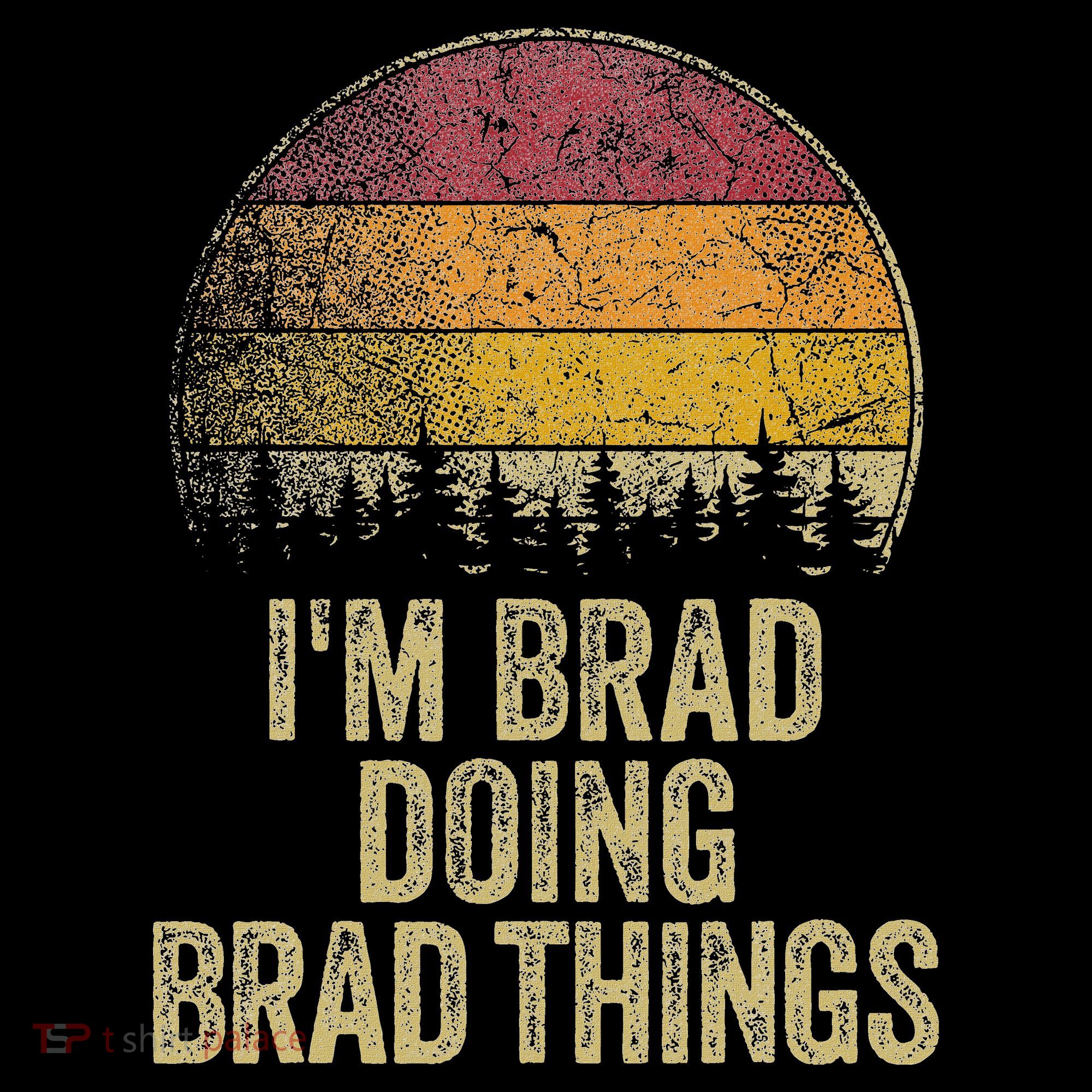IM Brad Doing Brad Things Funny Retro Humor Name Gag Gift Women's Hoodie