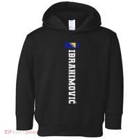 Ibrahimovic Bosnia Flag Last Name Coat Of Arm Emblem Crest Toddler Hoodie thumb 0