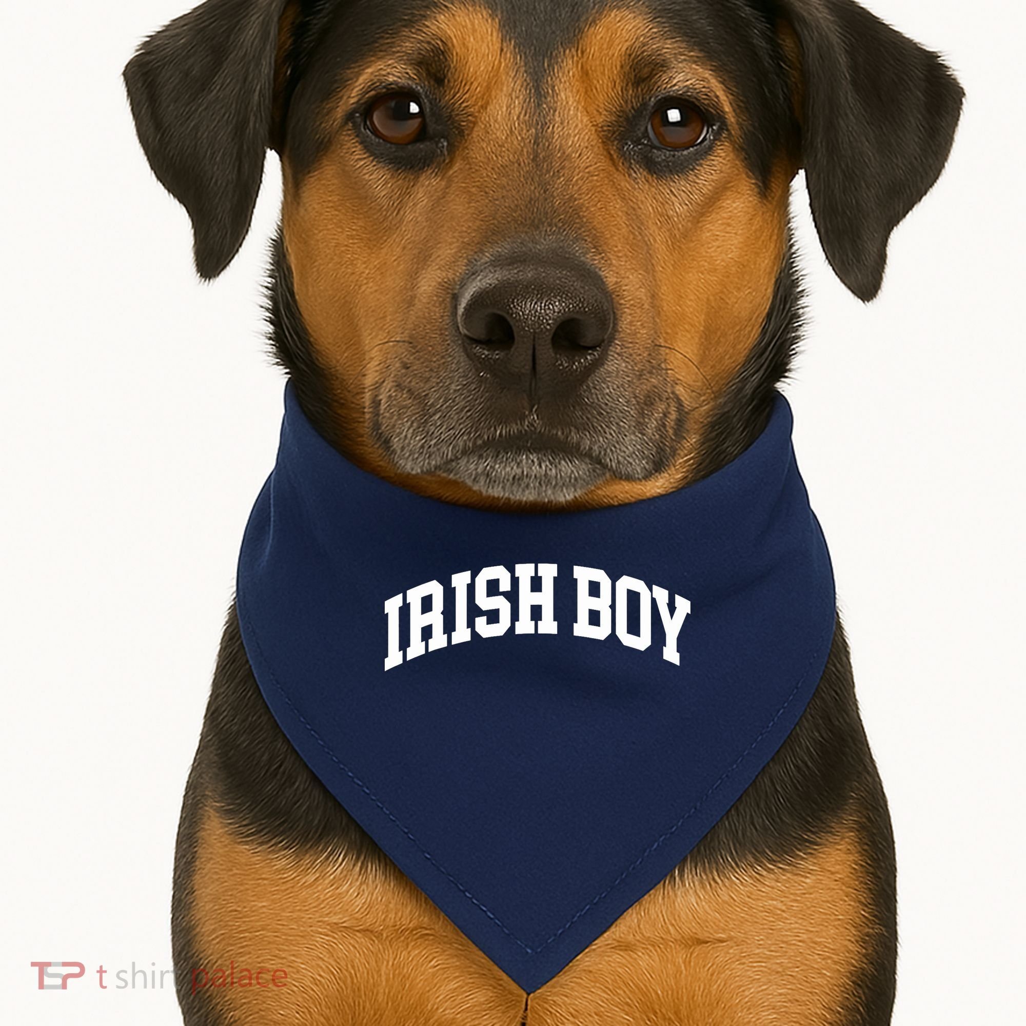 Irish Boy Ireland Home Country USA-Made Doggie Bandana