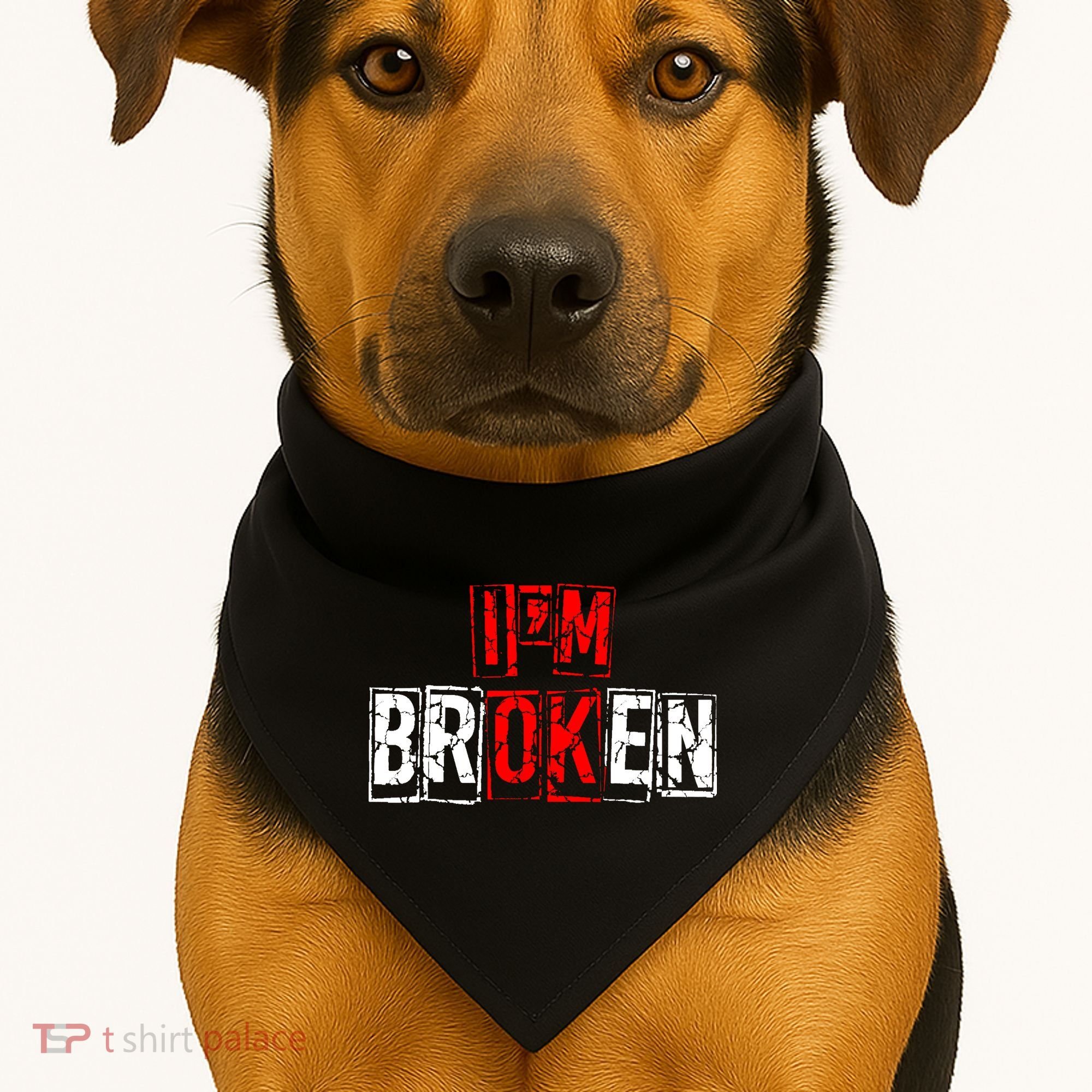I'M Broken Invisible Illness I'M OK Broken USA-Made Doggie Bandana