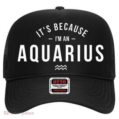 It's Because I'm An Aquarius Zodiac Sign Astrology Hat