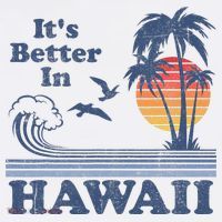 It's Better In Hawaii Beach Vacation Retro Vintage 80's 70's T-Shirt thumb 7