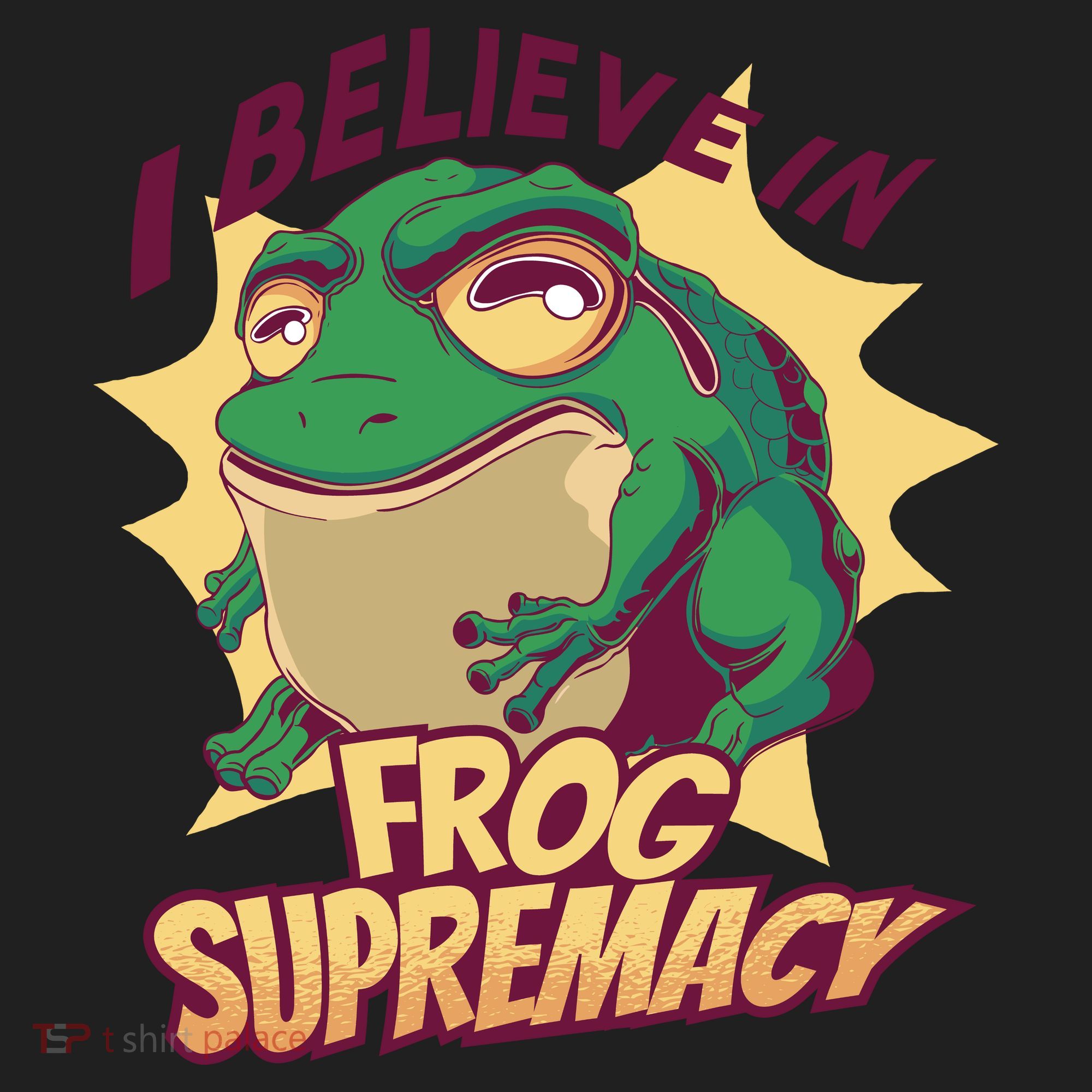 I Believe In Frog Supremacy Funny Beanie