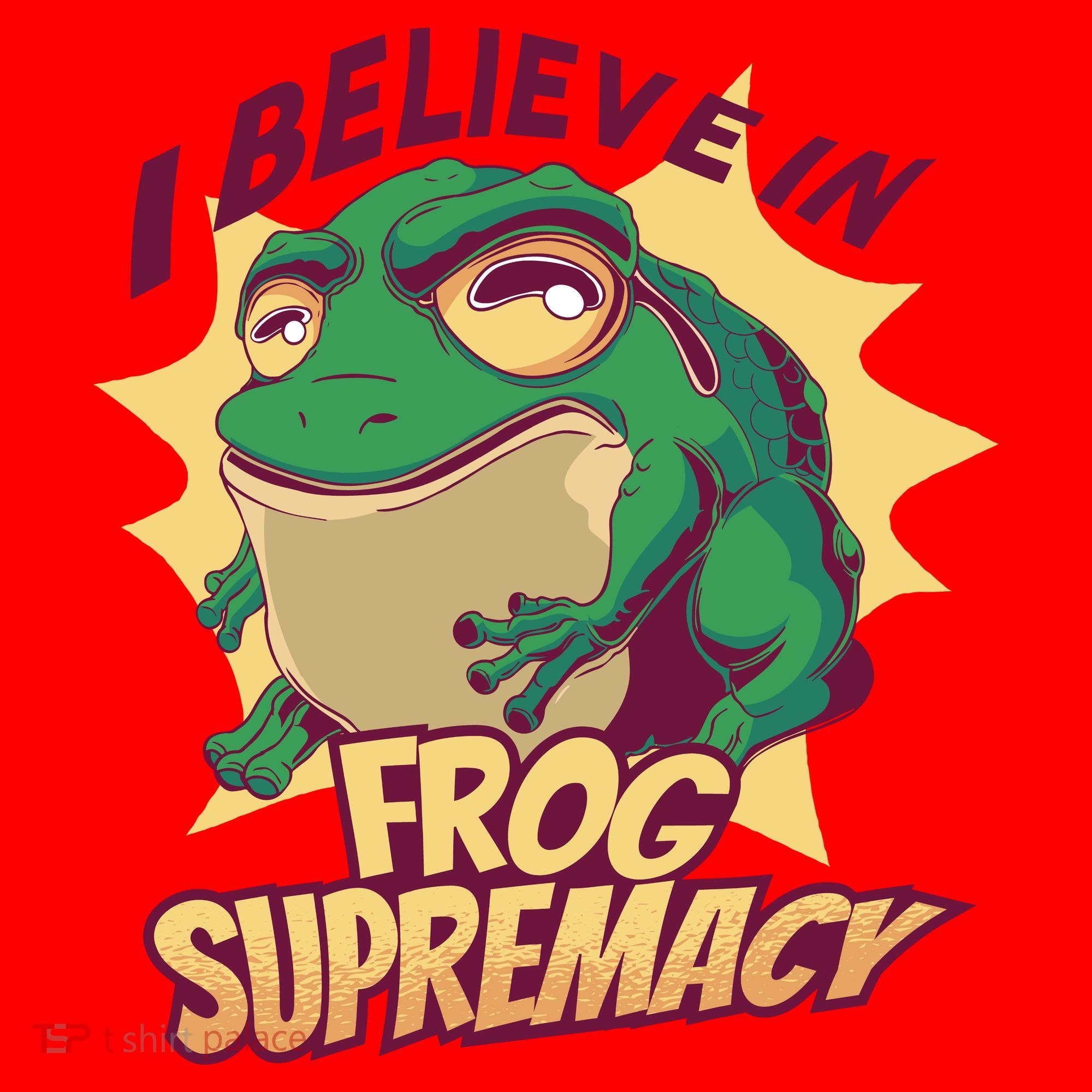 I Believe In Frog Supremacy Funny Santa Hat