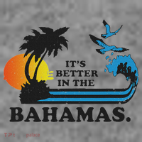 It's Better In The Bahamas Toddler Hoodie thumb 2