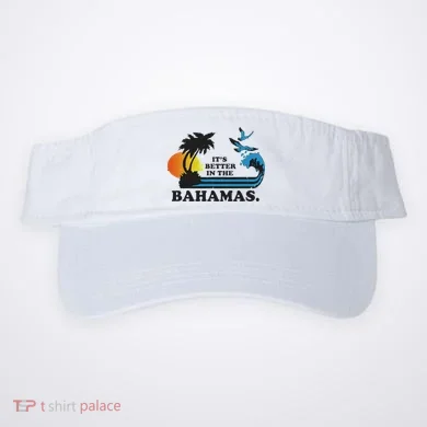 Visor