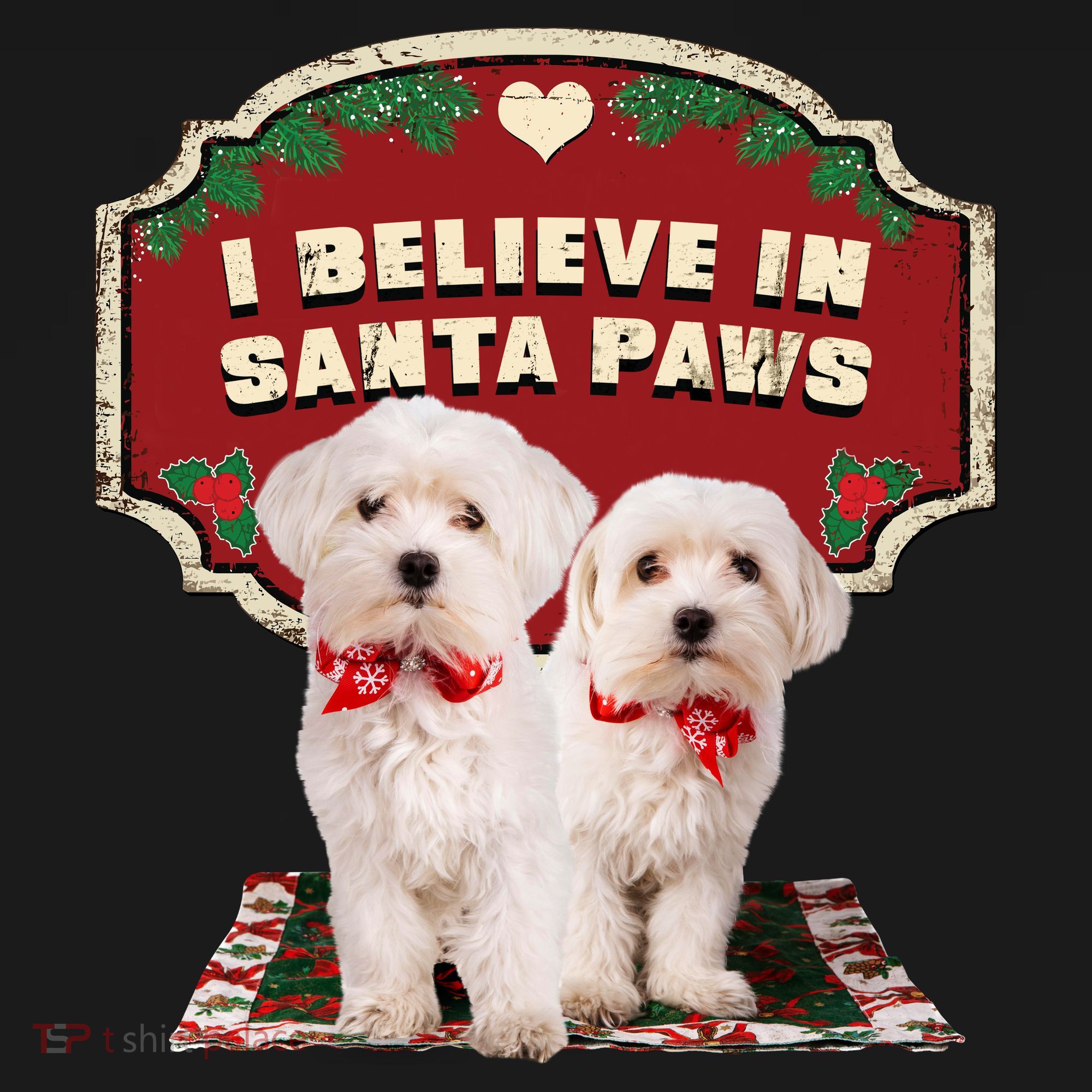 I Believe In Santa Paws Cute Christmas Dog Lover Ornament