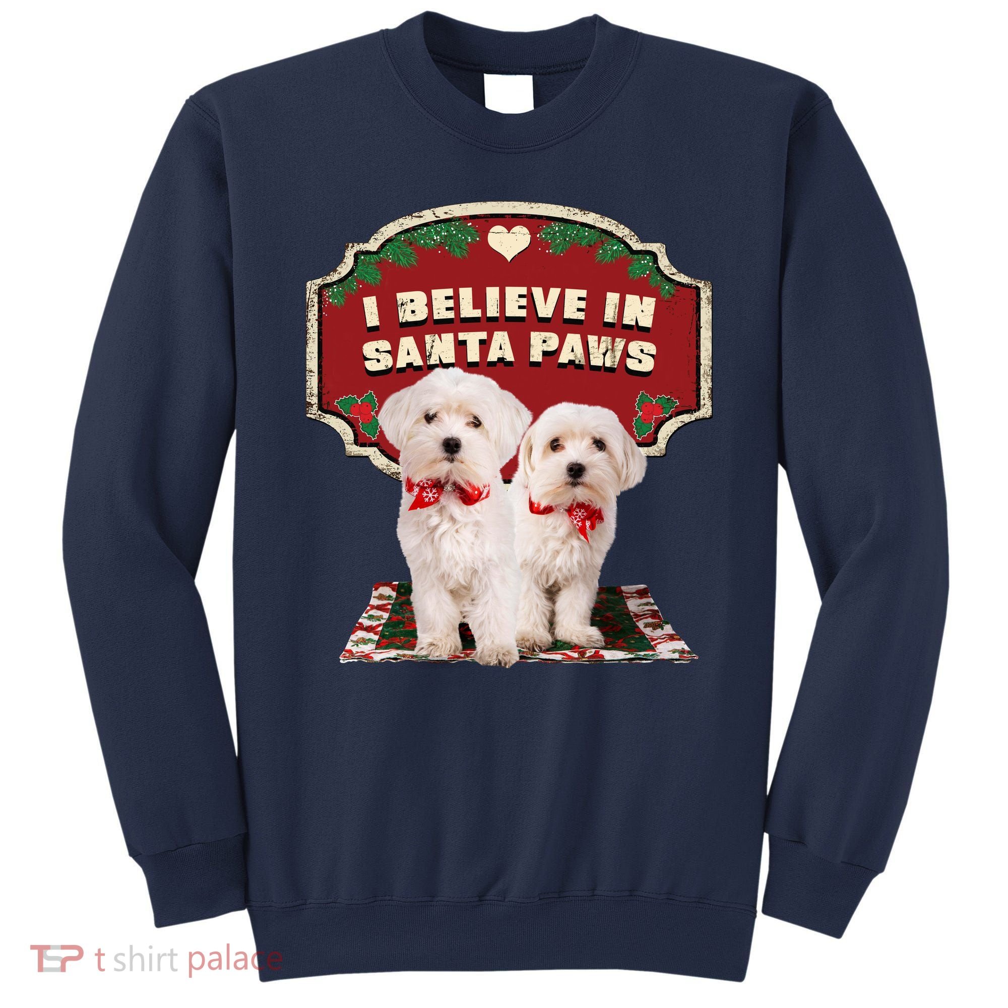 I Believe In Santa Paws Cute Christmas Dog Lover Sweatshirt