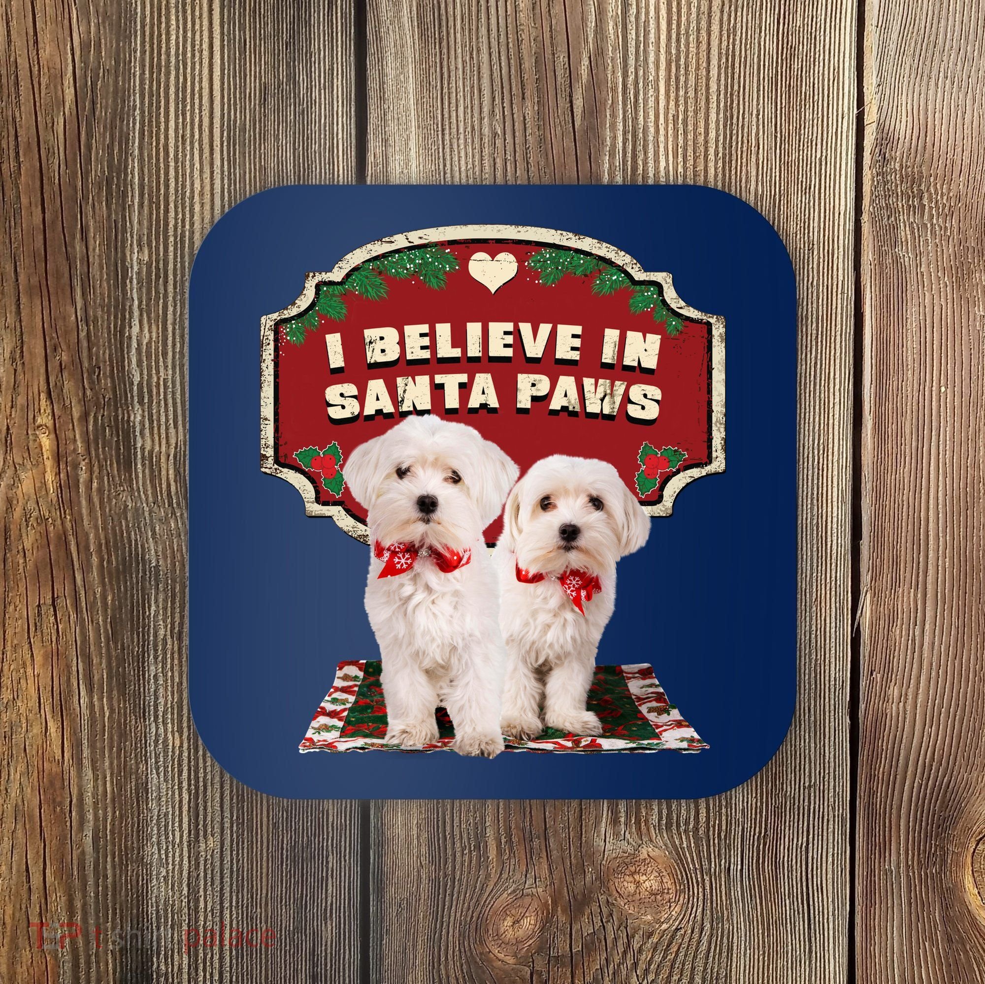 I Believe In Santa Paws Cute Christmas Dog Lover Coaster