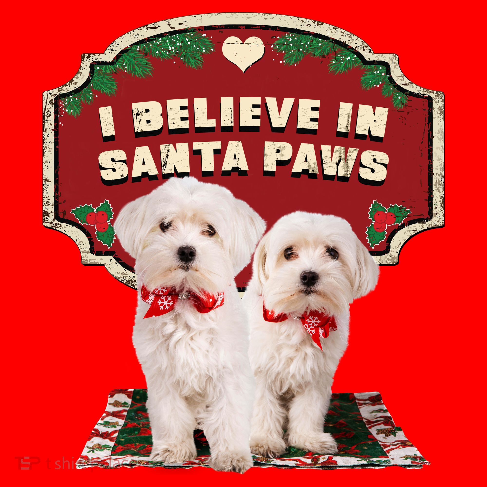 I Believe In Santa Paws Cute Christmas Dog Lover Santa Hat