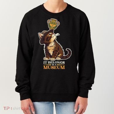 It Belongs In A Museum Archeology Archeologist Cat Kitty Women's Sweatshirt