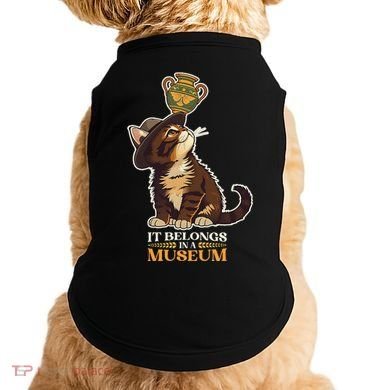 It Belongs In A Museum Archeology Archeologist Cat Kitty Doggie Tank