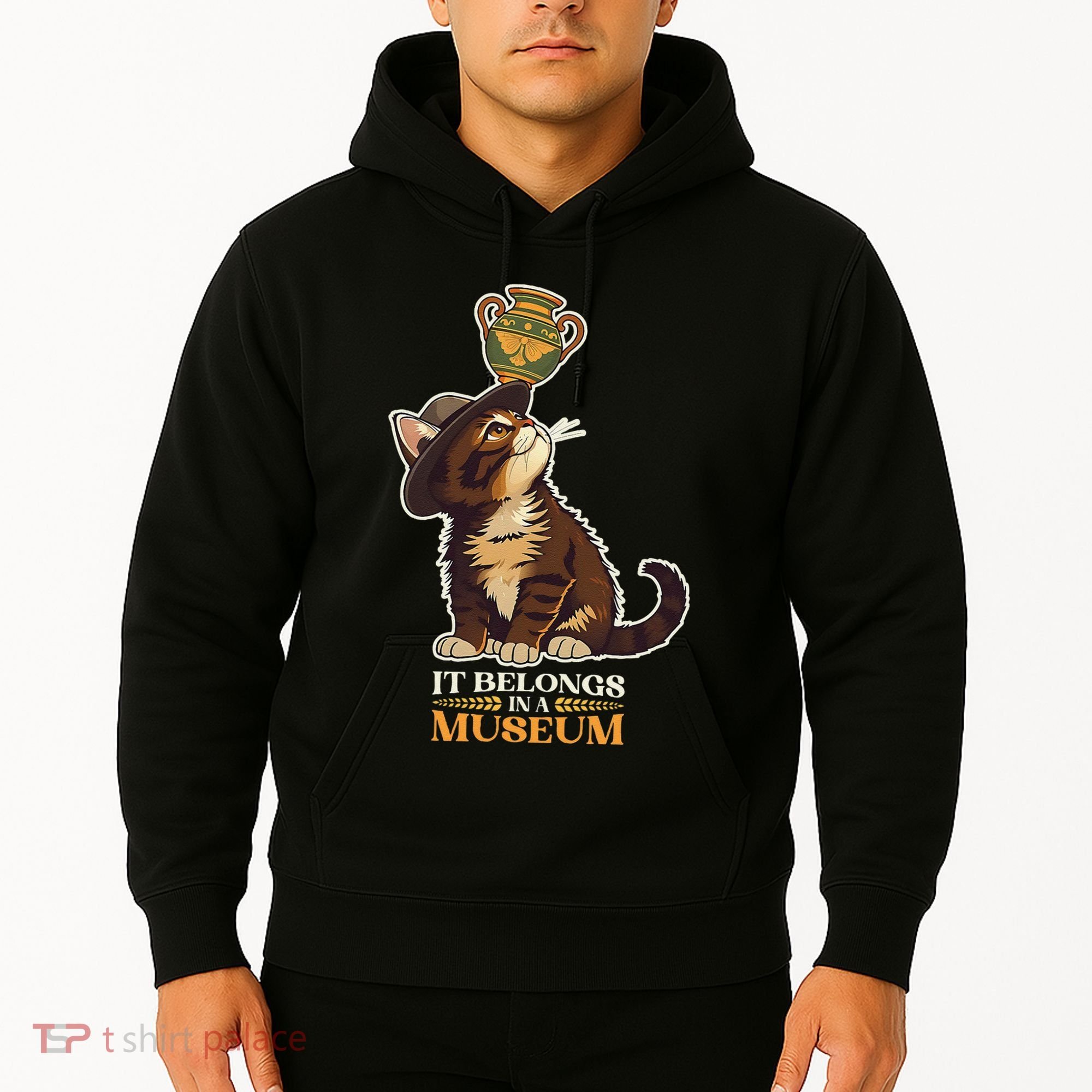 It Belongs In A Museum Archeology Archeologist Cat Kitty Hoodie