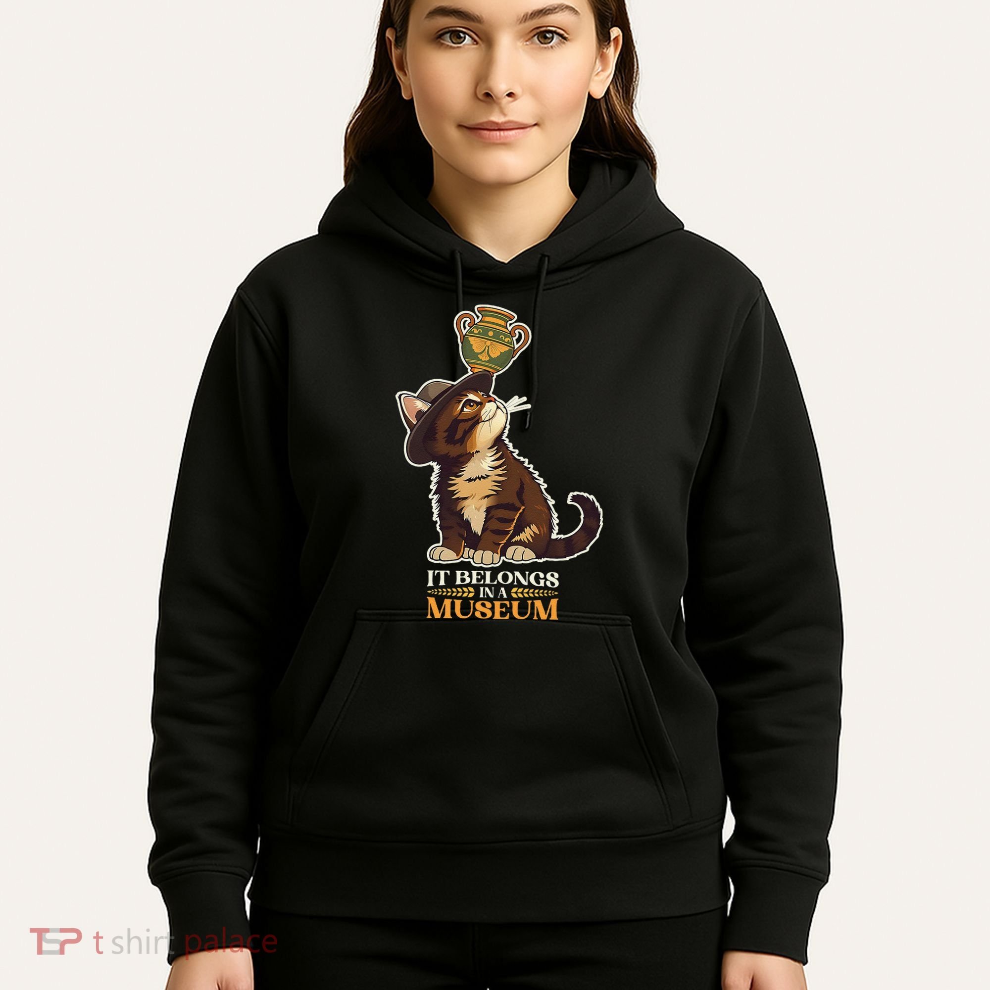 It Belongs In A Museum Archeology Archeologist Cat Kitty Hoodie