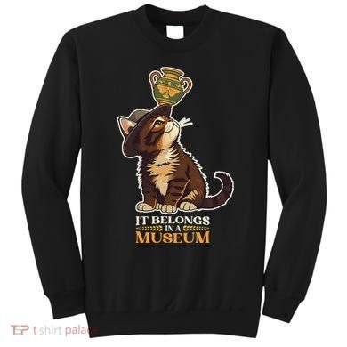 It Belongs In A Museum Archeology Archeologist Cat Kitty Sweatshirt