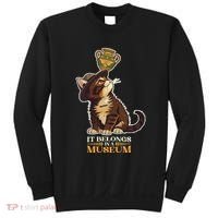 It Belongs In A Museum Archeology Archeologist Cat Kitty Sweatshirt thumb 0