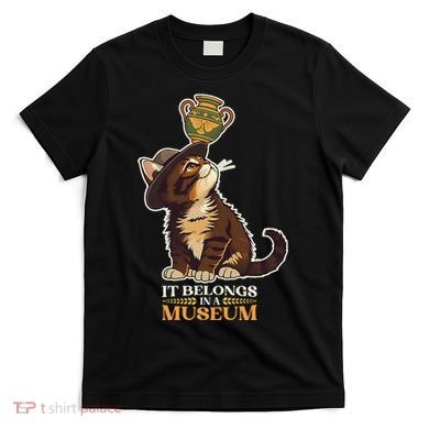 It Belongs In A Museum Archeology Archeologist Cat Kitty T-Shirt