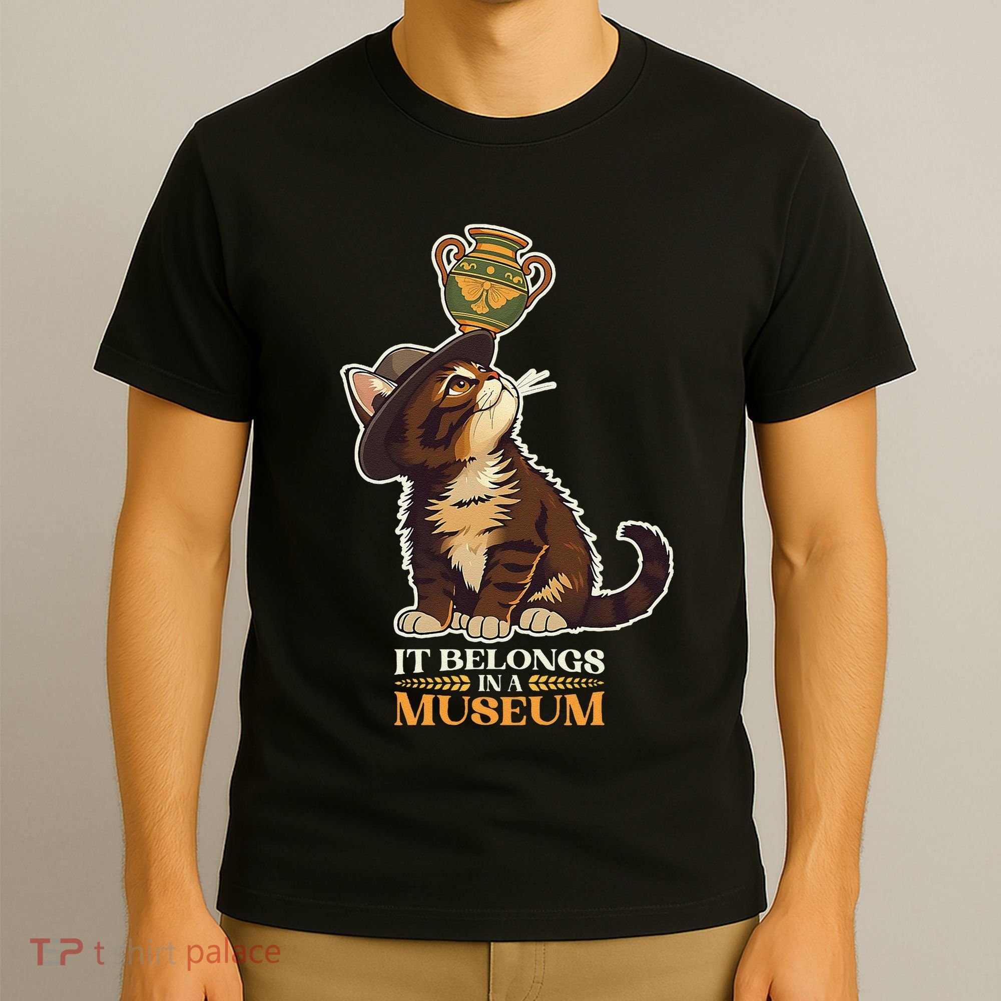 It Belongs In A Museum Archeology Archeologist Cat Kitty T-Shirt