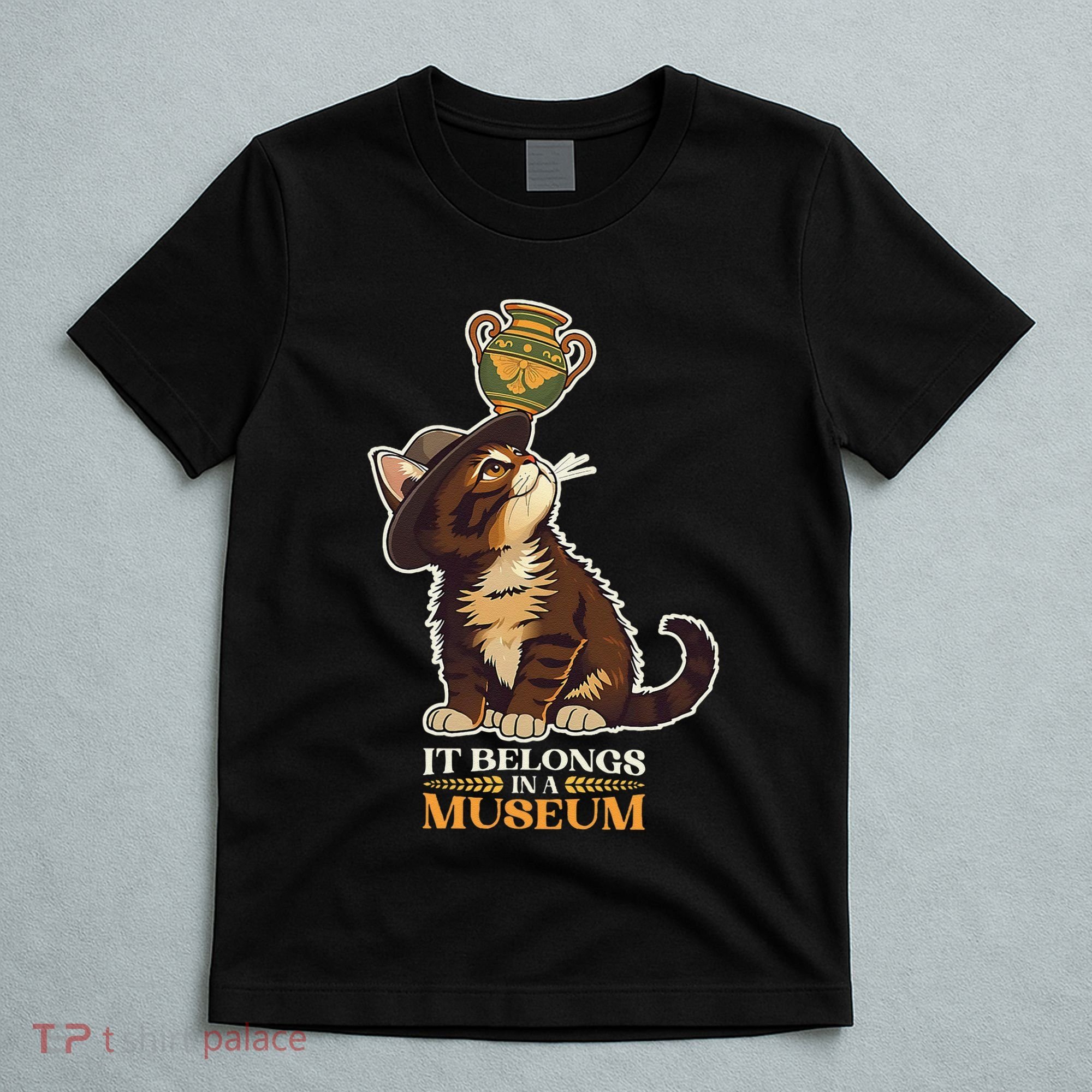 It Belongs In A Museum Archeology Archeologist Cat Kitty T-Shirt