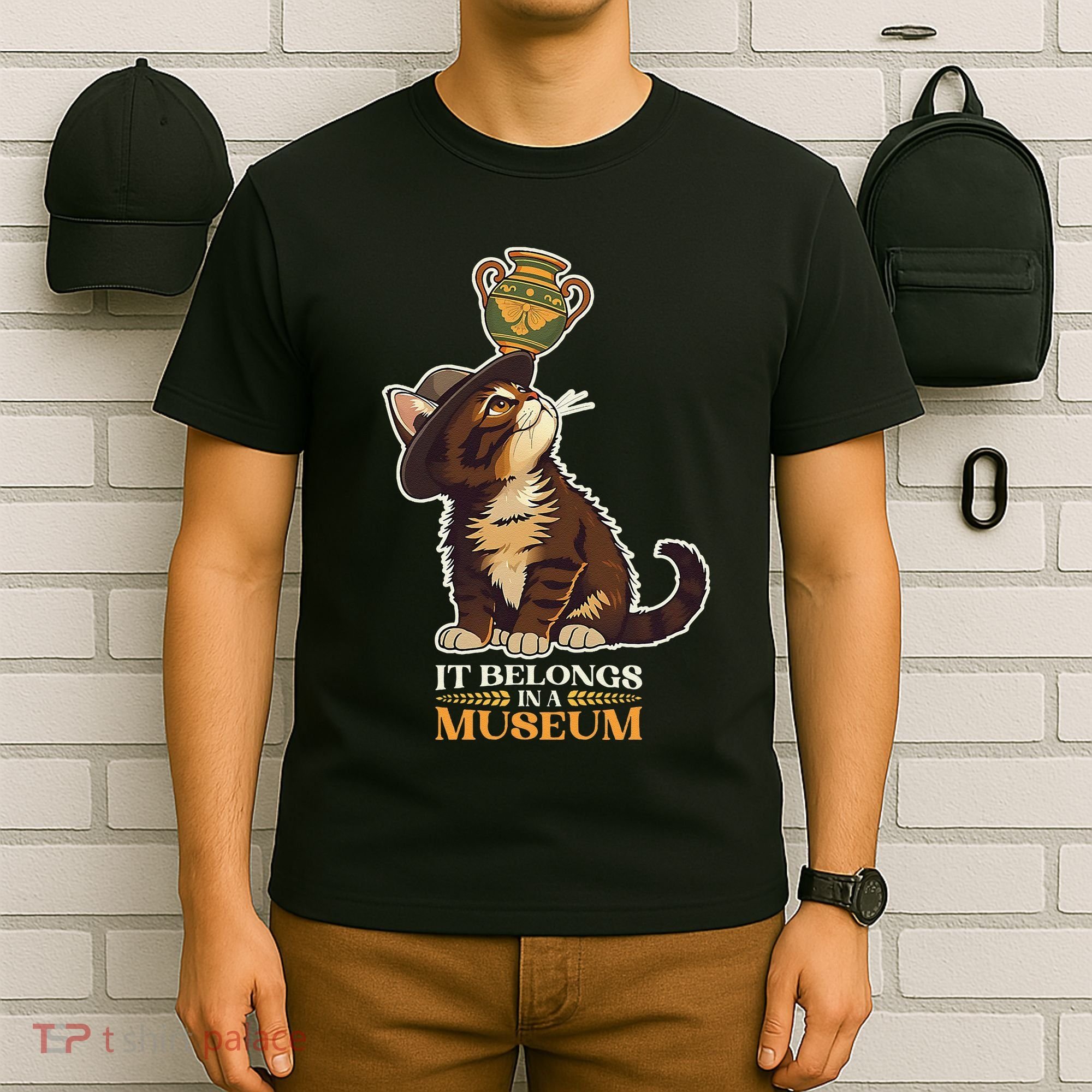 It Belongs In A Museum Archeology Archeologist Cat Kitty T-Shirt
