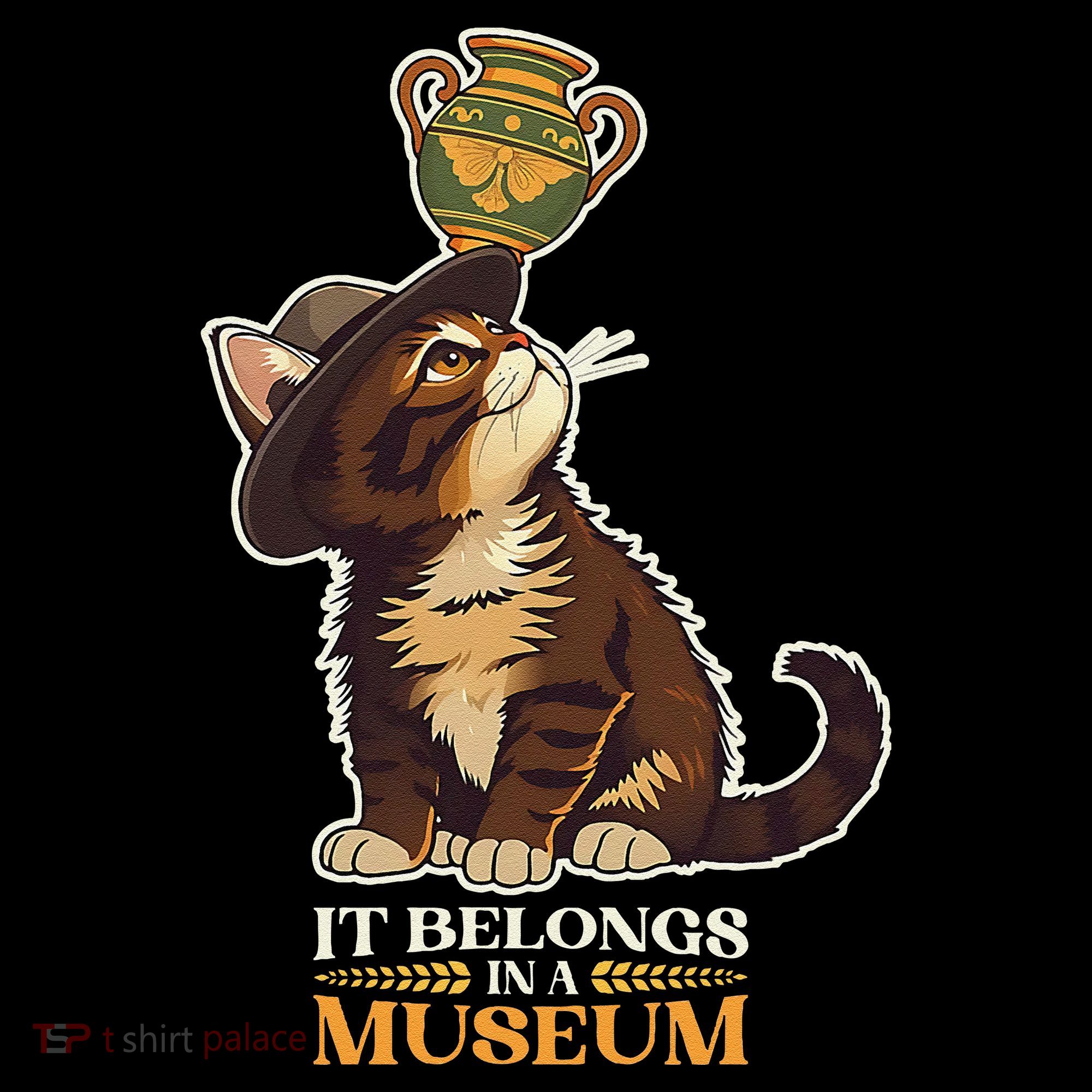 It Belongs In A Museum Archeology Archeologist Cat Kitty Women's Tank Top