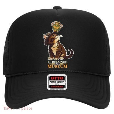 It Belongs In A Museum Archeology Archeologist Cat Kitty Hat