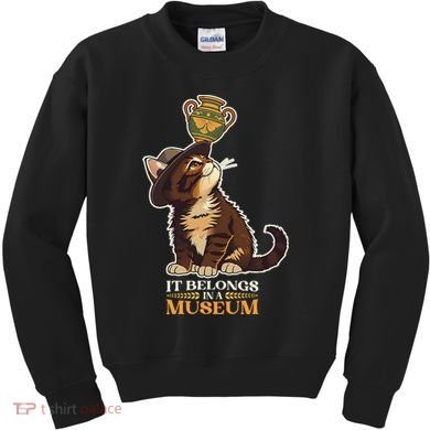 It Belongs In A Museum Archeology Archeologist Cat Kitty Kids Sweatshirt