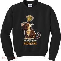 It Belongs In A Museum Archeology Archeologist Cat Kitty Kids Sweatshirt thumb 0
