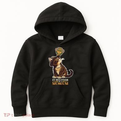 It Belongs In A Museum Archeology Archeologist Cat Kitty Kids Hoodie