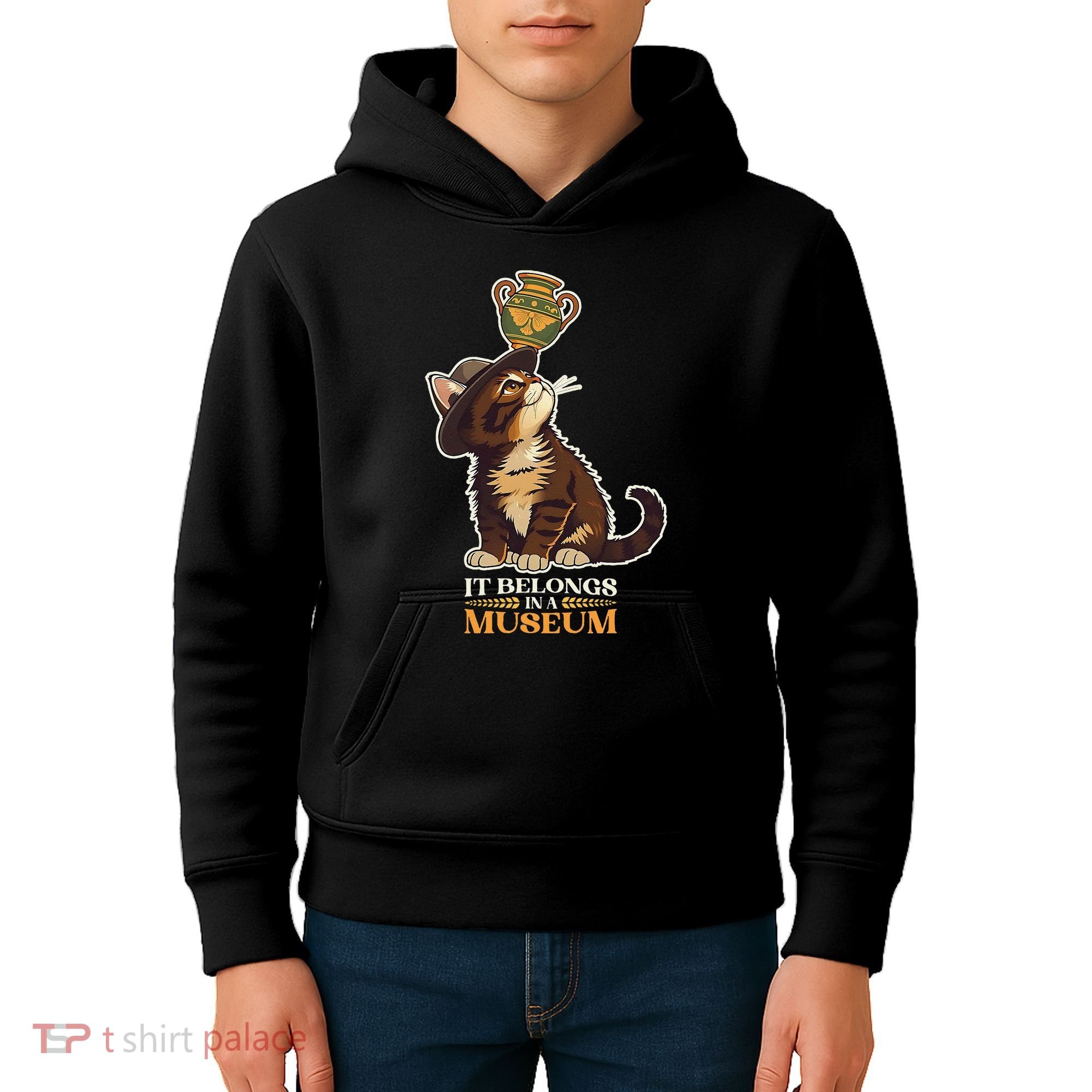 It Belongs In A Museum Archeology Archeologist Cat Kitty Kids Hoodie