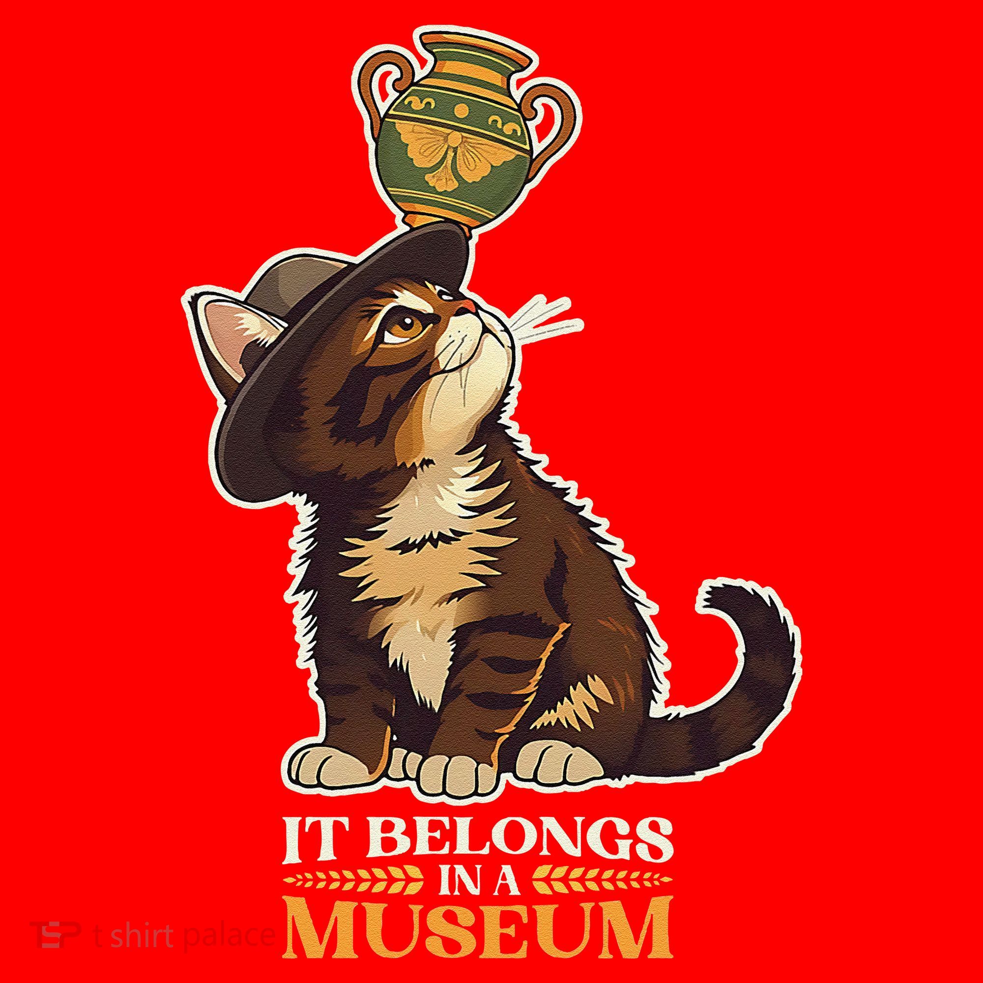 It Belongs In A Museum Archeology Archeologist Cat Kitty Santa Hat