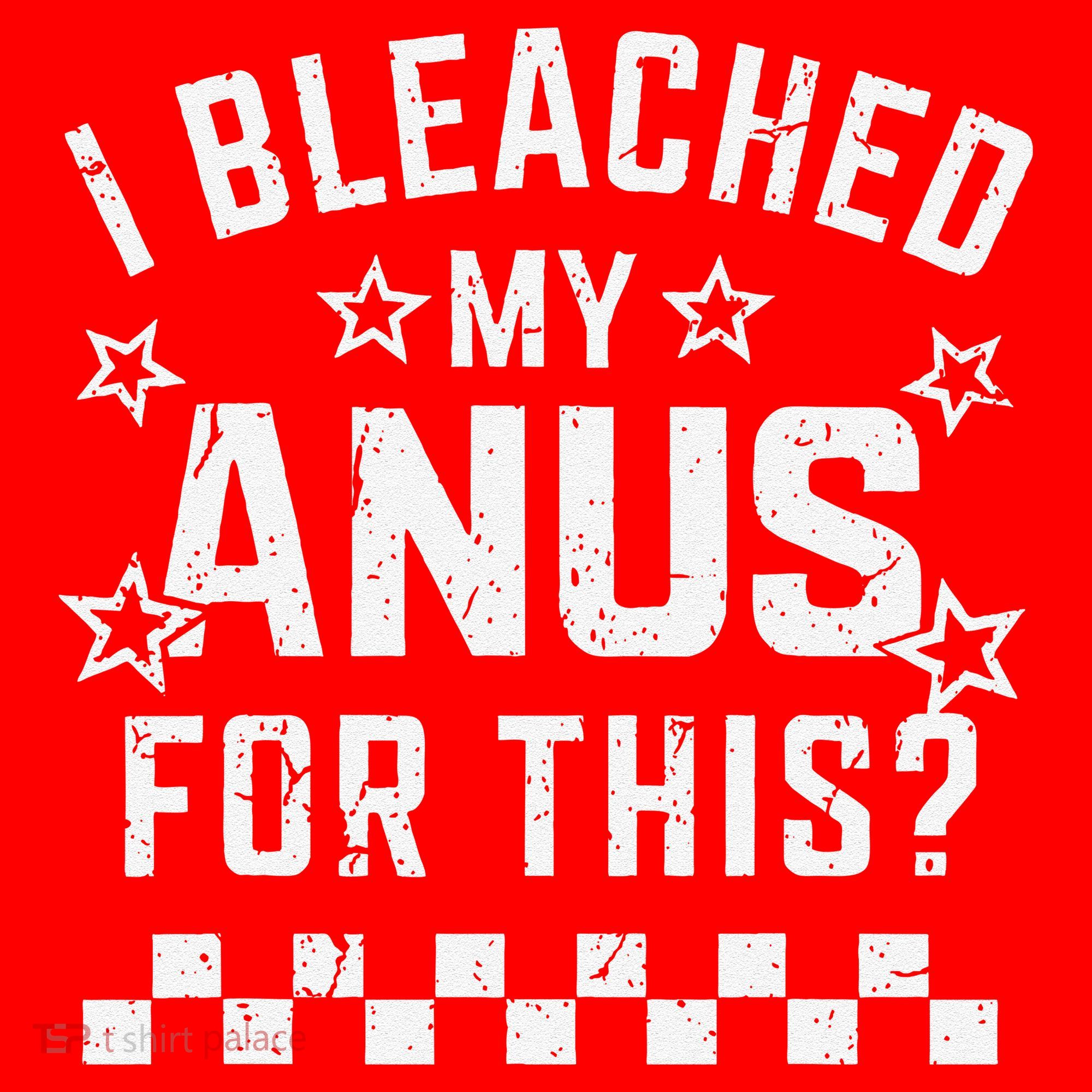 I Bleached My Anus For This Funny Meme Santa Hat