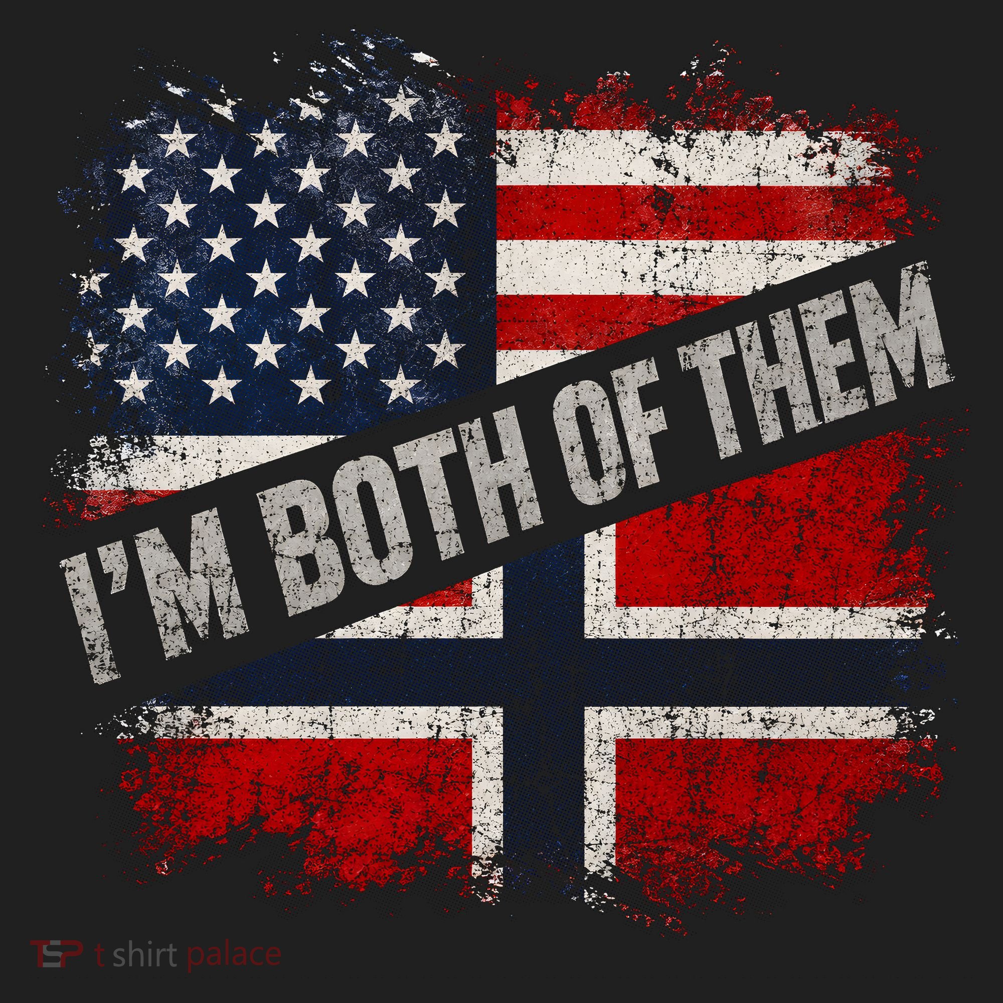 I'm Both Of Them American Norwegian Beanie