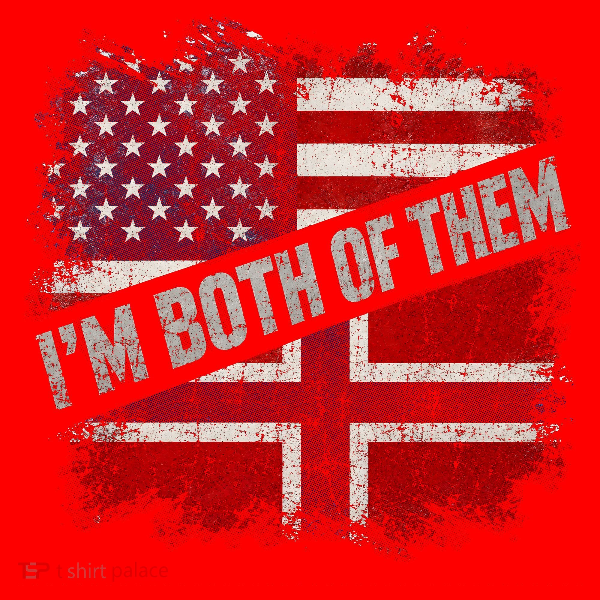 I'm Both Of Them American Norwegian Santa Hat