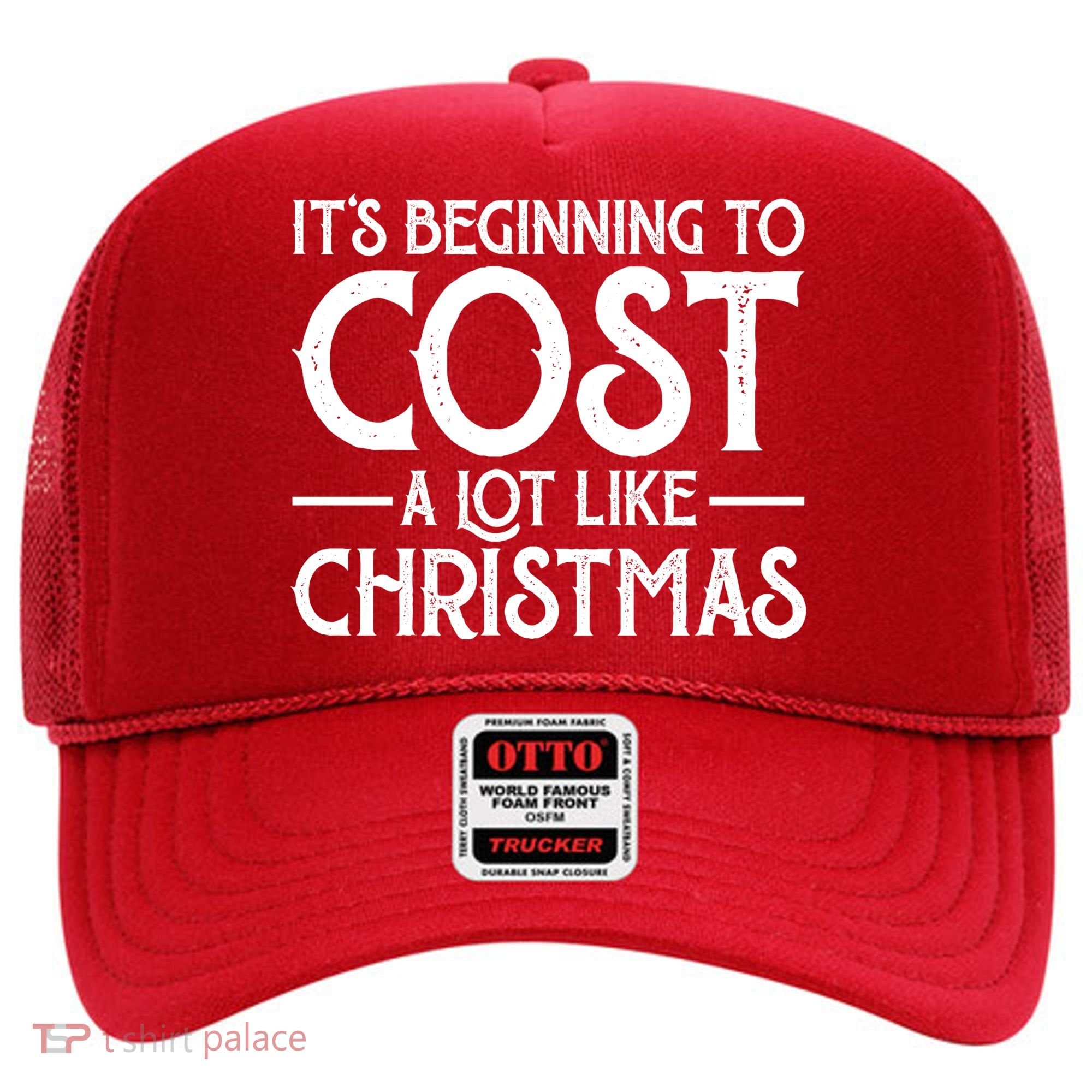 It's Beginning To Cost A Lot Like Christmas Funny Hat