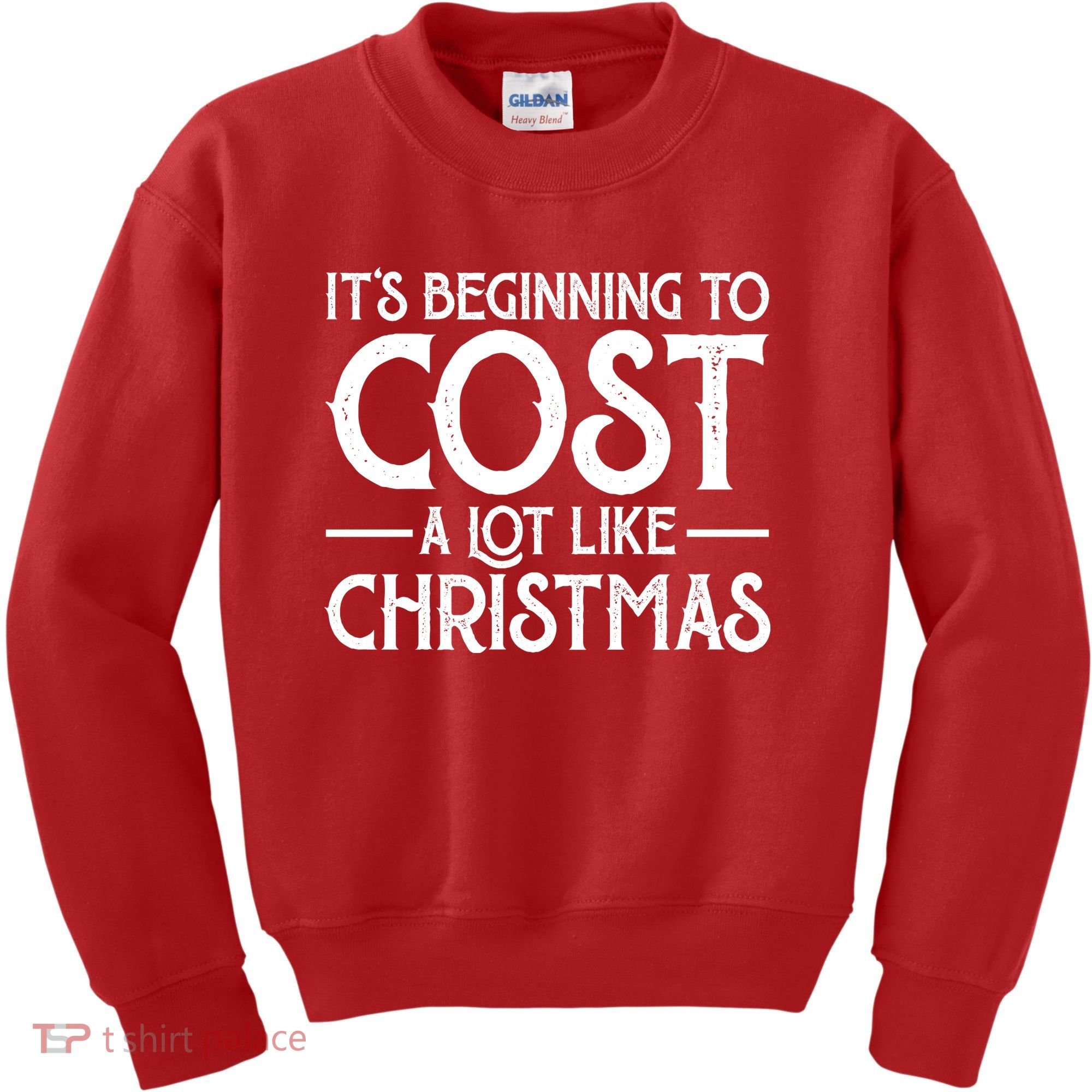 It's Beginning To Cost A Lot Like Christmas Funny Kids Sweatshirt