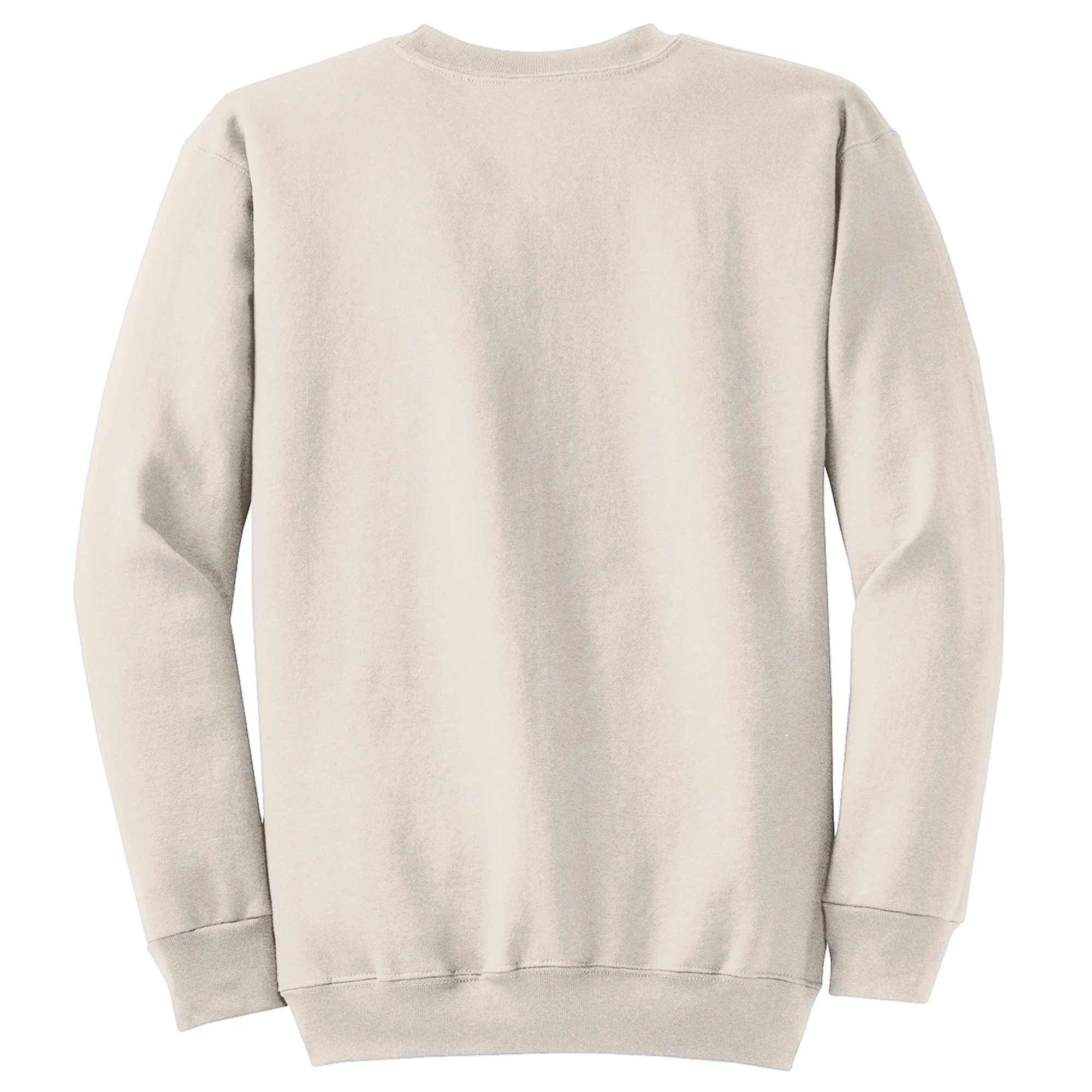 I've Been There Antarctica Travel Gift Sweatshirt