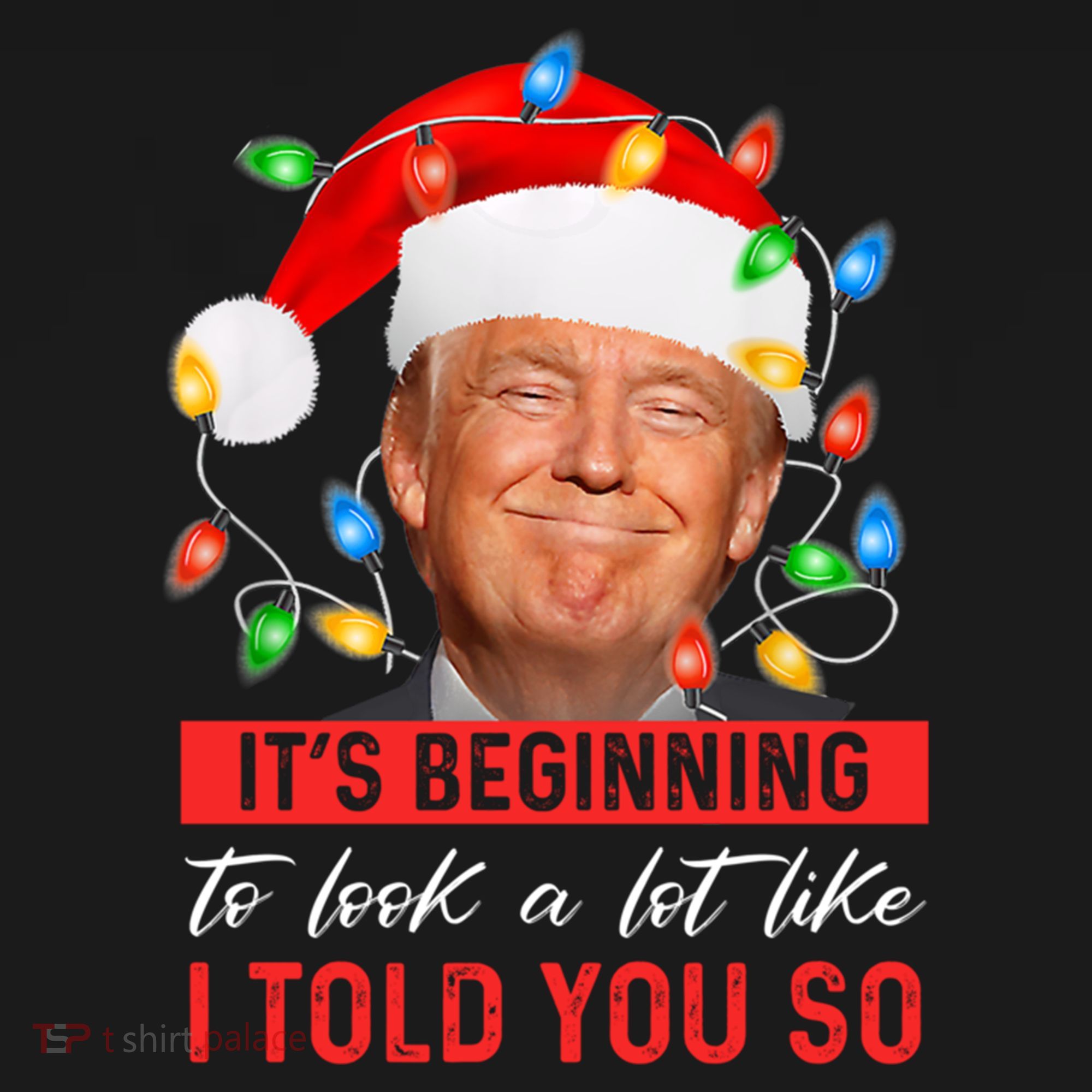 ItS Beginning To Look A Lot Like I Told You So Trump Xmas Gift Women's Hoodie