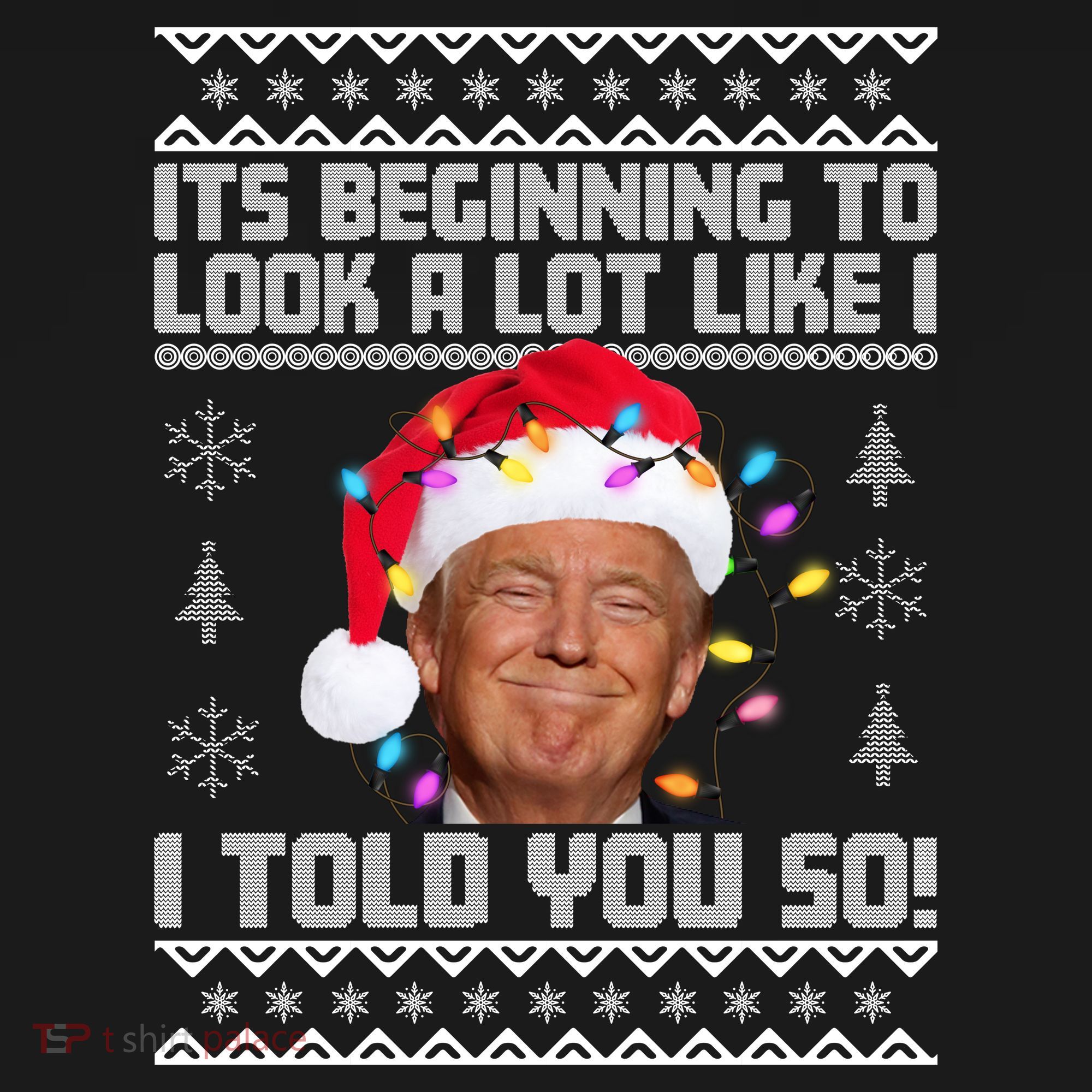 Its Beginning To Look A Like I Told You So Ugly Christmas Women's Hoodie