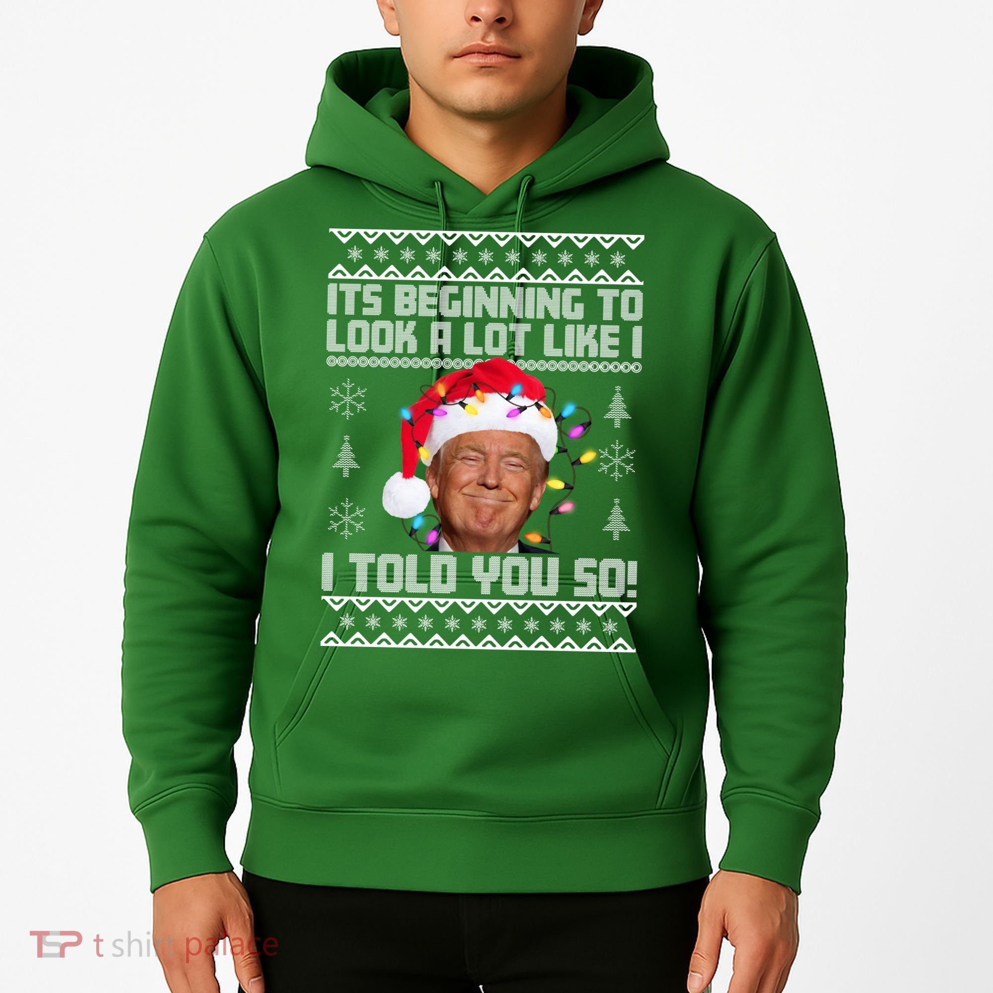 Its Beginning To Look A Like I Told You So Ugly Christmas Hoodie