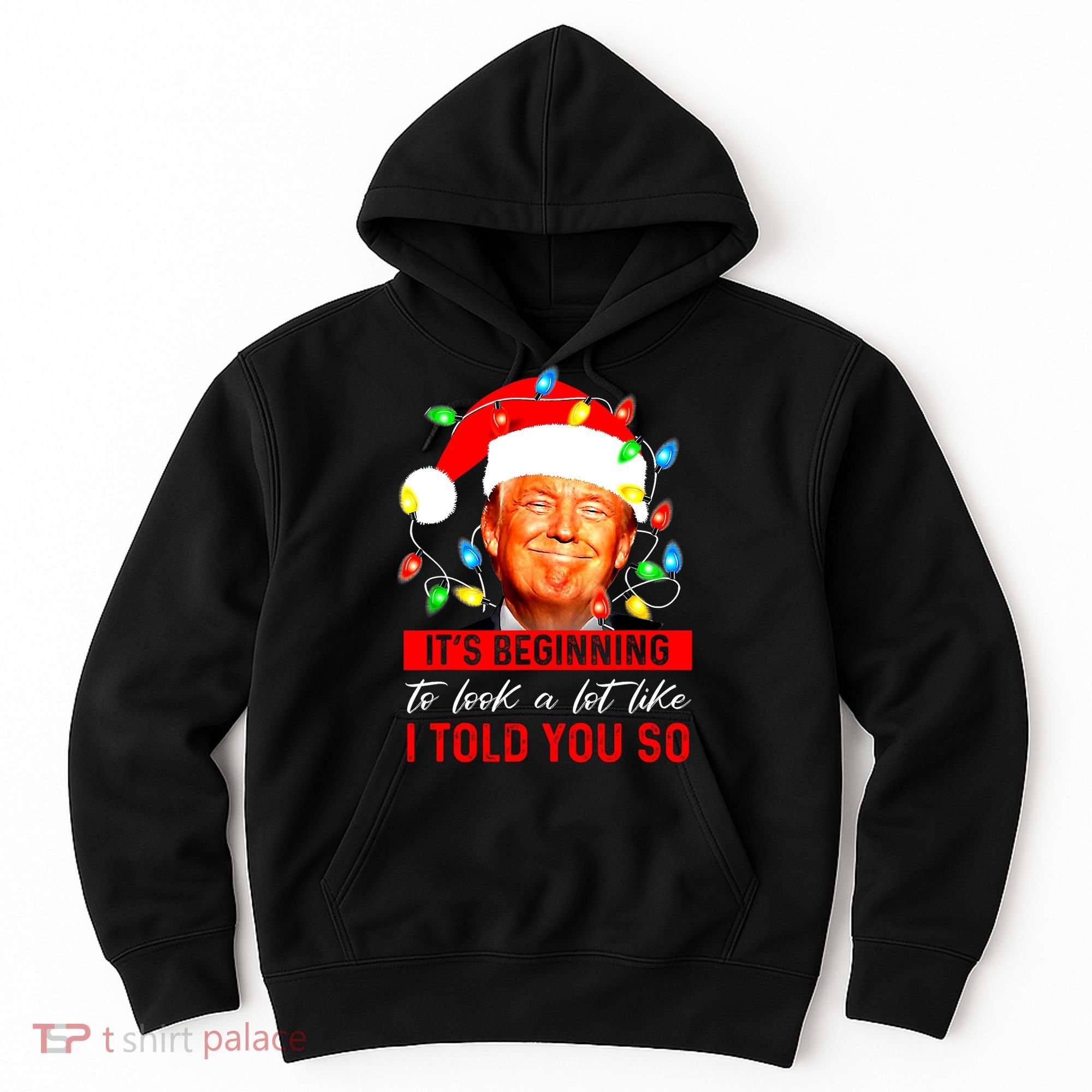 ItS Beginning To Look A Lot Like I Told You So Trump Xmas Hoodie