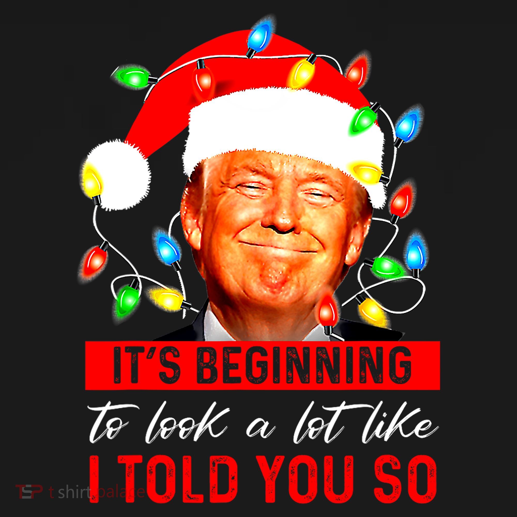 ItS Beginning To Look A Lot Like I Told You So Trump Xmas Hoodie