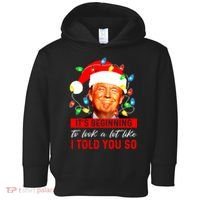 ItS Beginning To Look A Lot Like I Told You So Trump Xmas Toddler Hoodie thumb 0