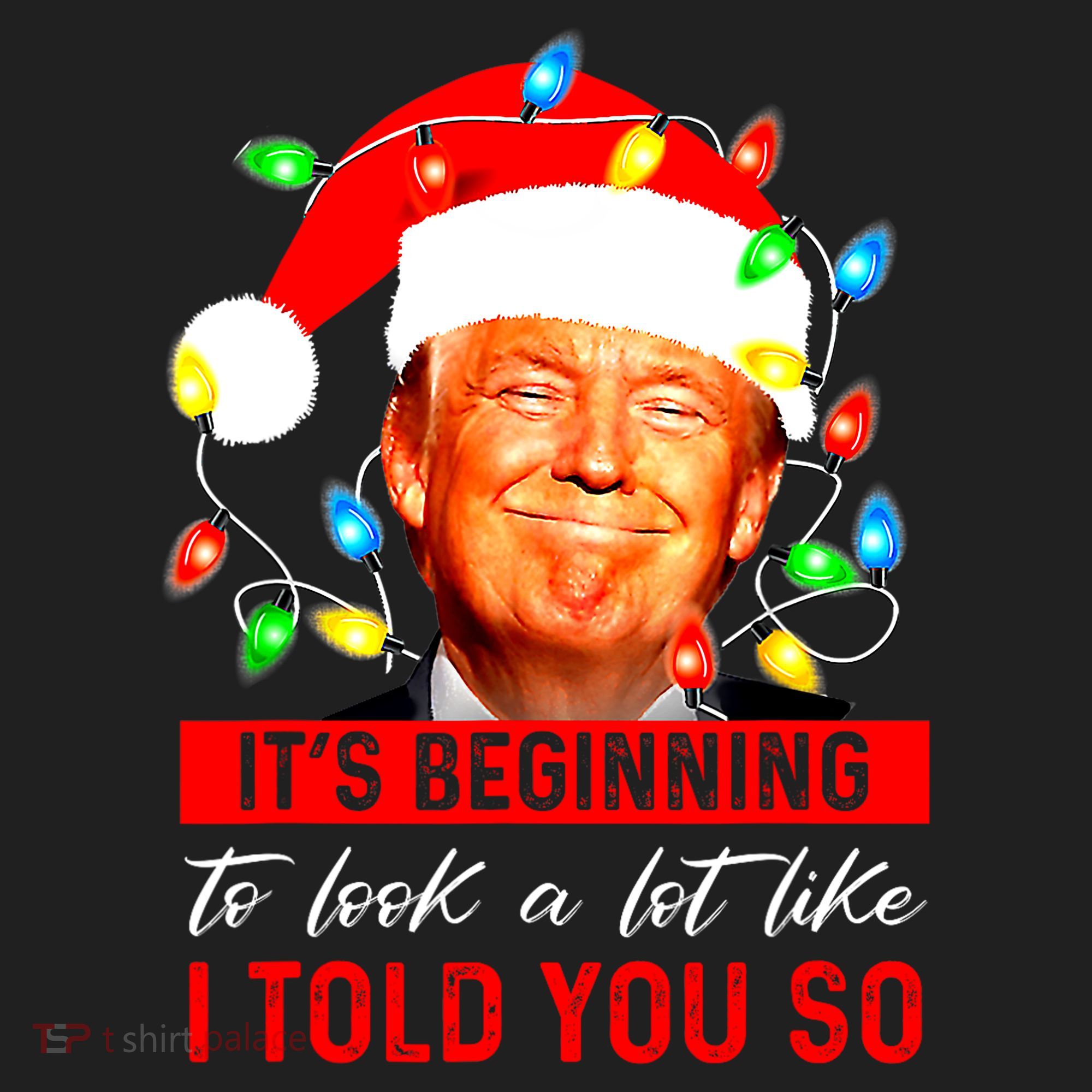 ItS Beginning To Look A Lot Like I Told You So Trump Xmas Kids Plaid Pajama Set