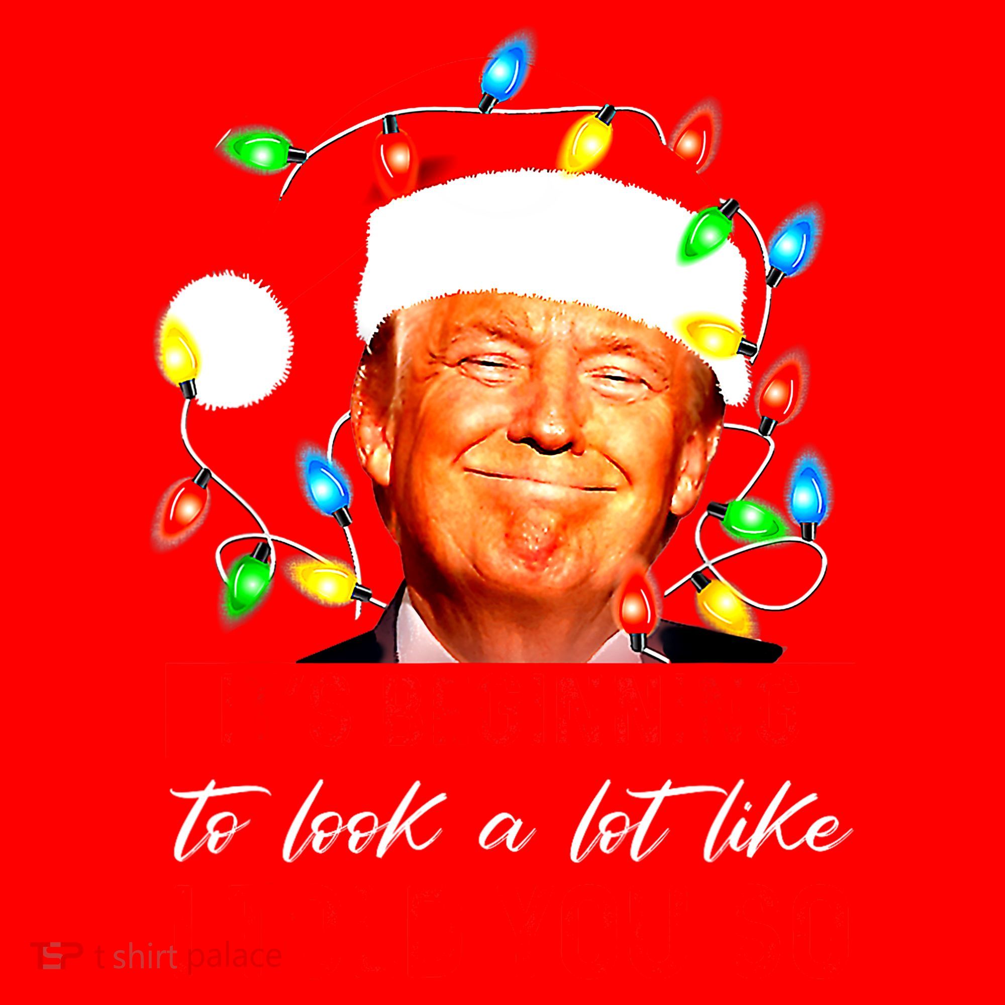 ItS Beginning To Look A Lot Like I Told You So Trump Xmas Santa Hat